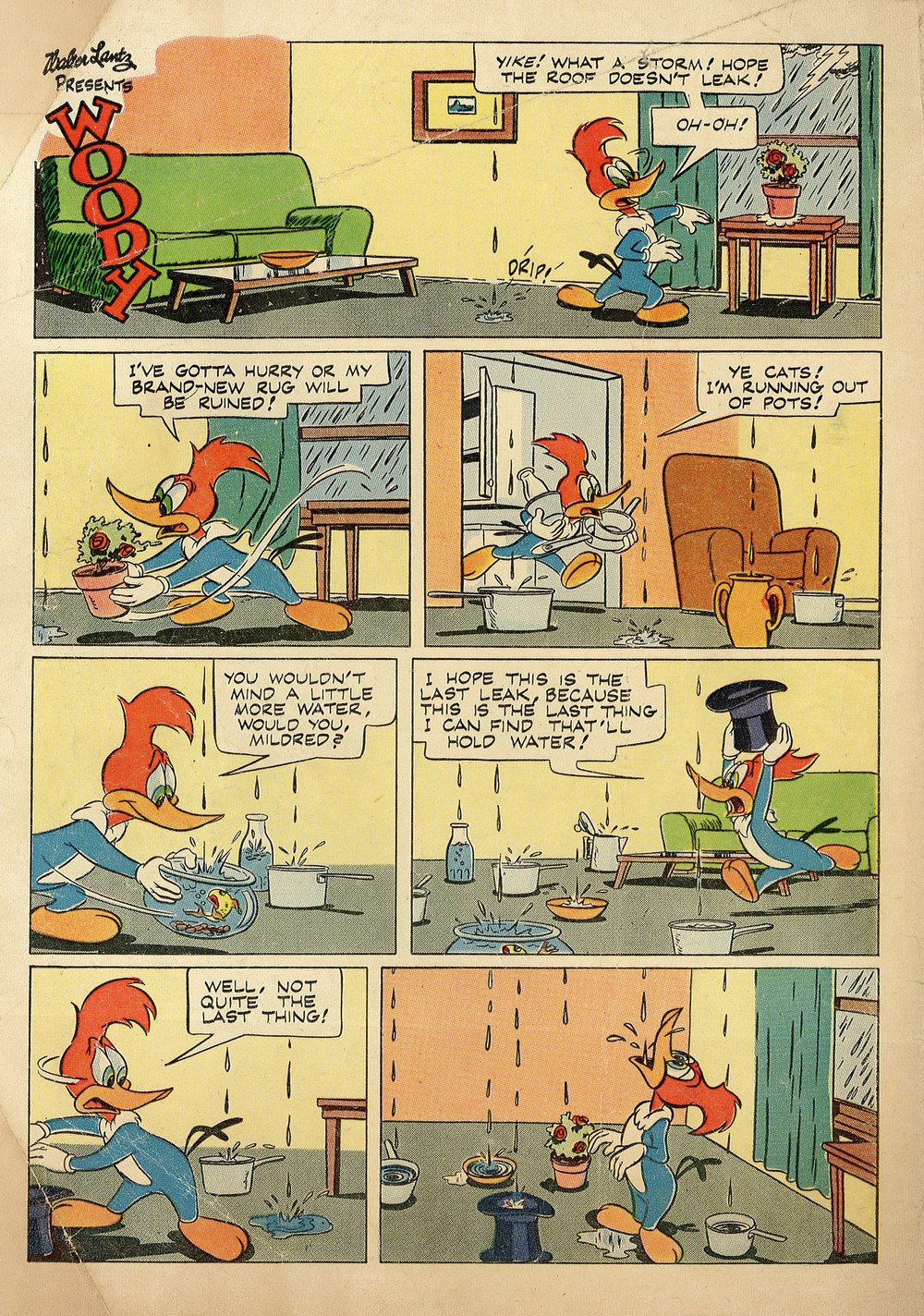 Read online Walter Lantz Woody Woodpecker (1952) comic -  Issue #26 - 36