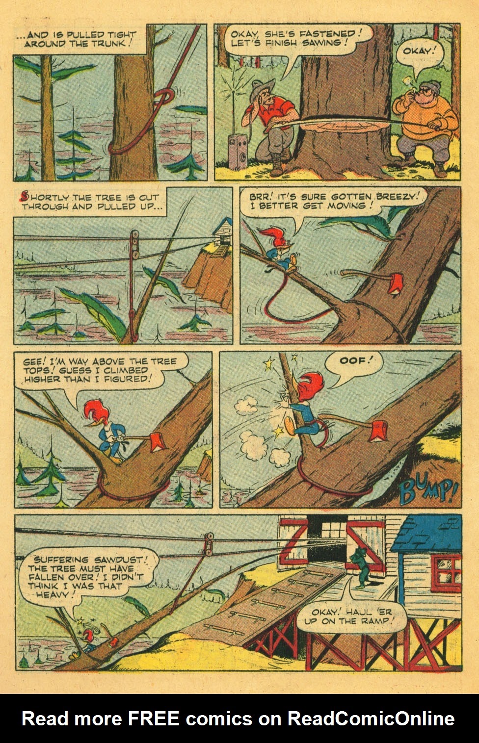 Read online Walter Lantz Woody Woodpecker (1952) comic -  Issue #44 - 11