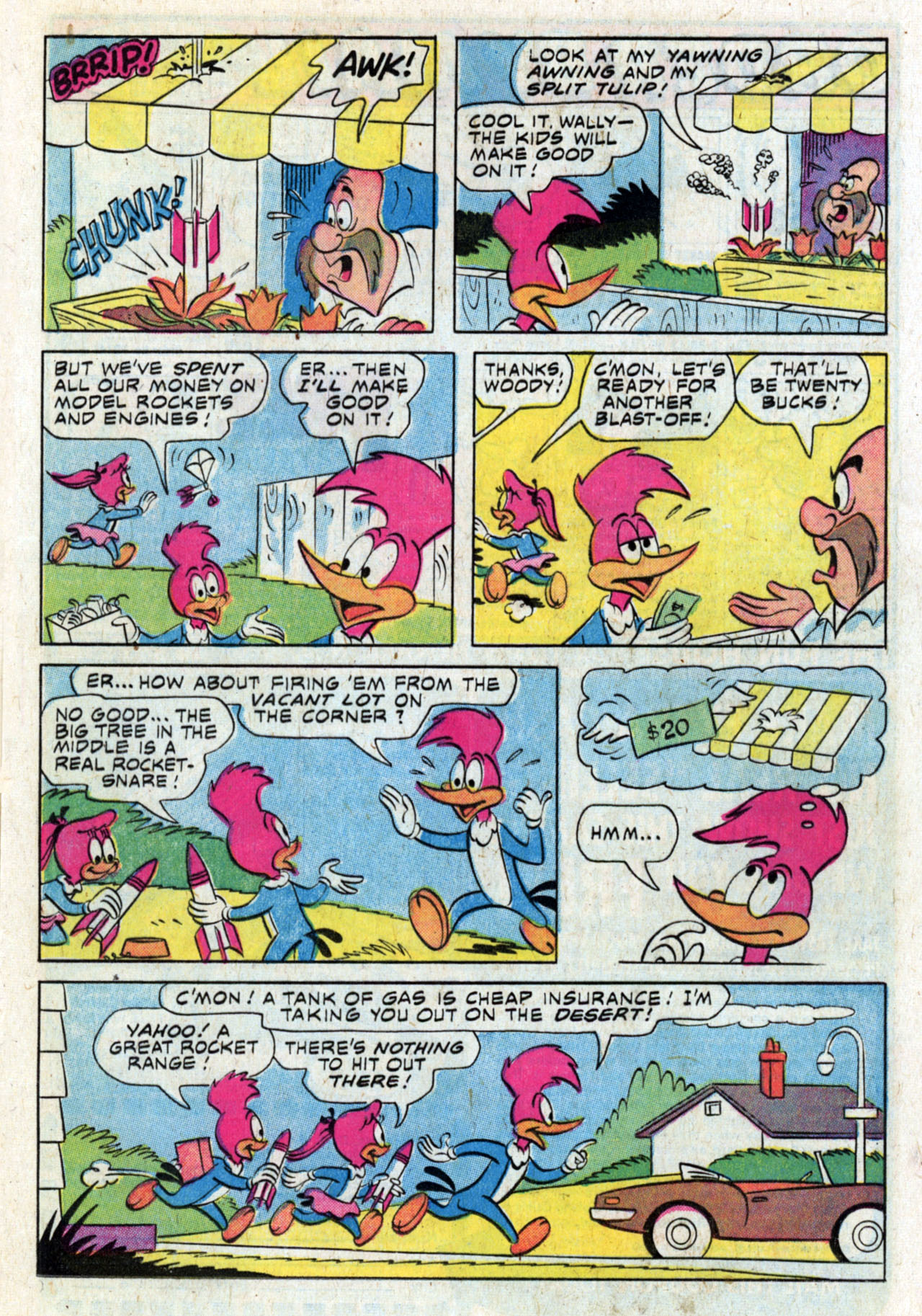 Read online Walter Lantz Woody Woodpecker (1962) comic -  Issue #153 - 13