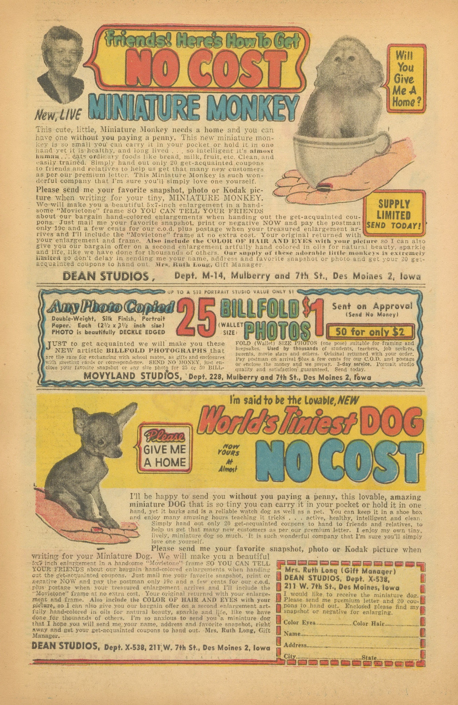 Read online Felix the Cat (1955) comic -  Issue #90 - 34