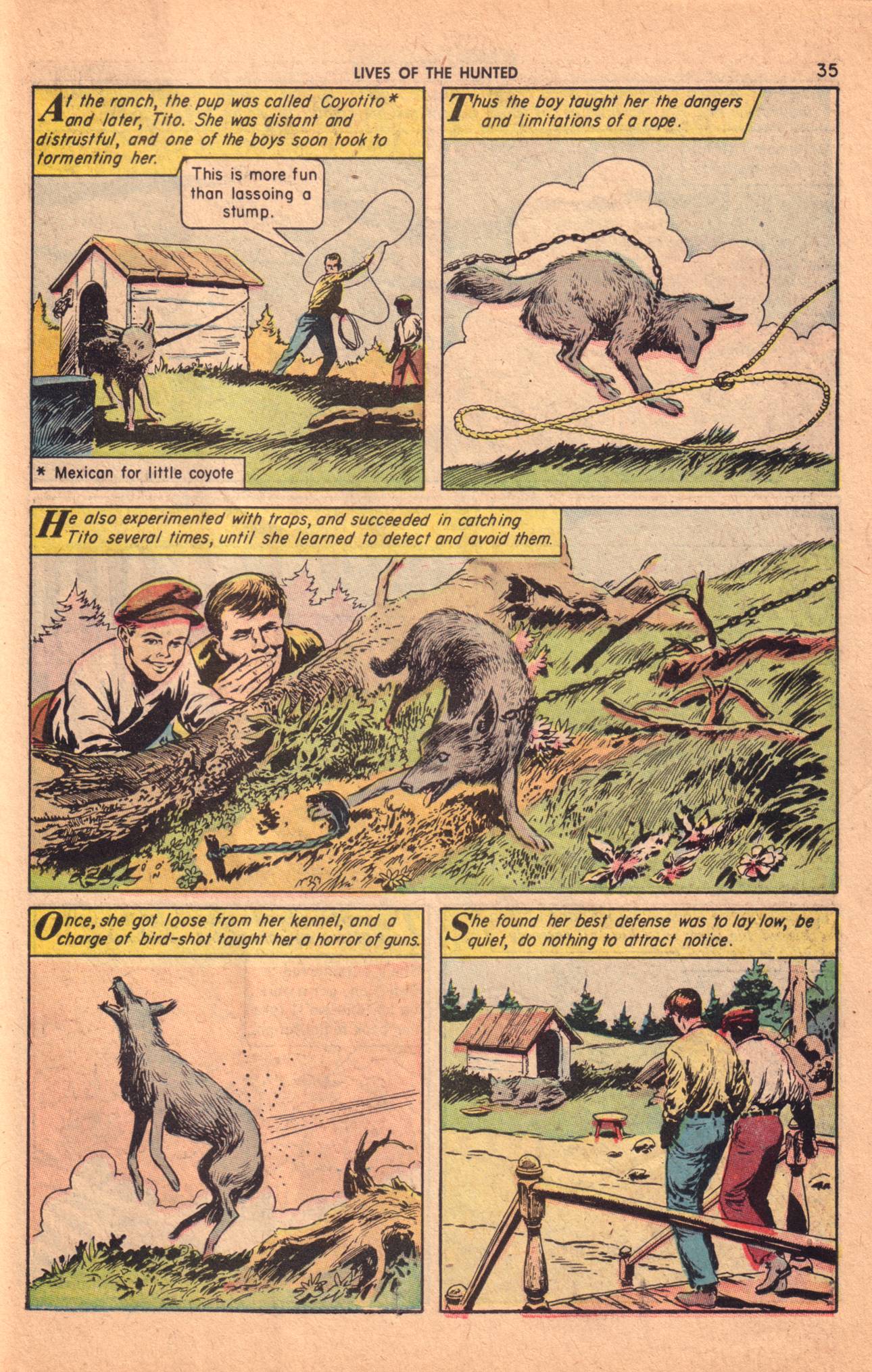 Read online Classics Illustrated comic -  Issue #157 - 37