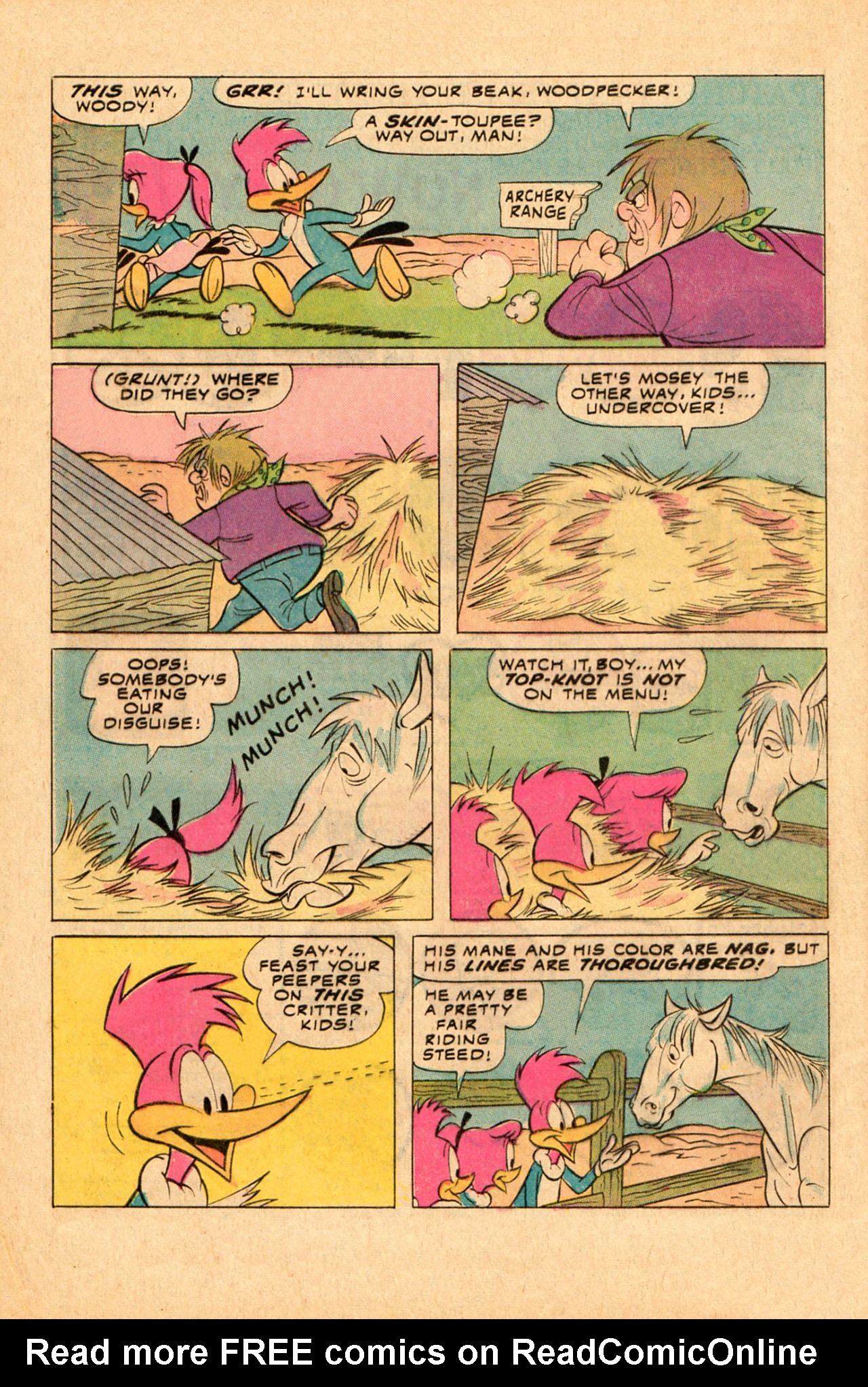 Read online Walter Lantz Woody Woodpecker (1962) comic -  Issue #139 - 8