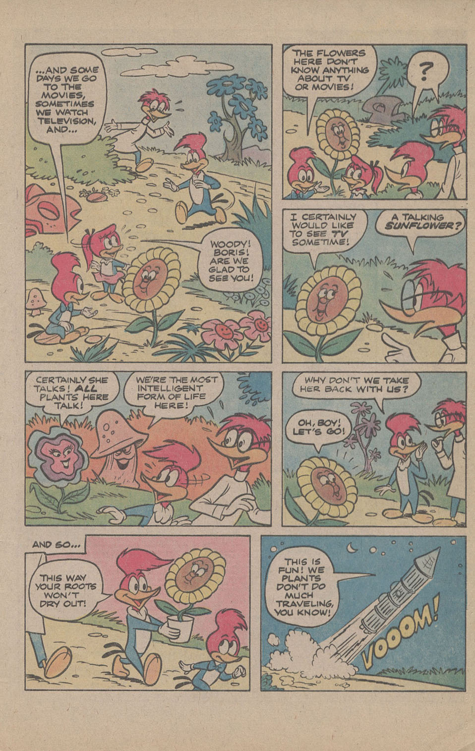 Read online Walter Lantz Woody Woodpecker (1962) comic -  Issue #169 - 29