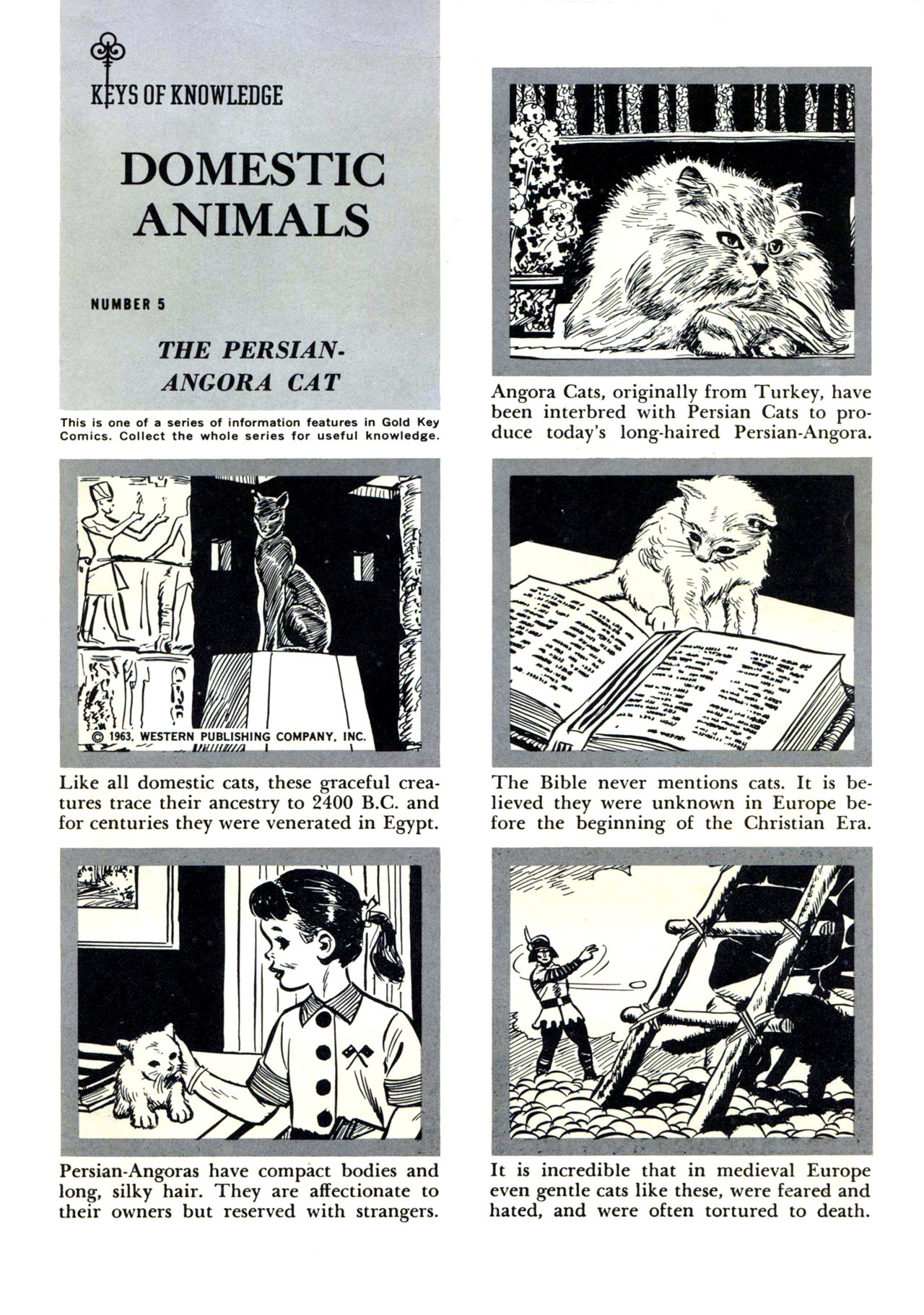 Read online Top Cat (1962) comic -  Issue #9 - 35