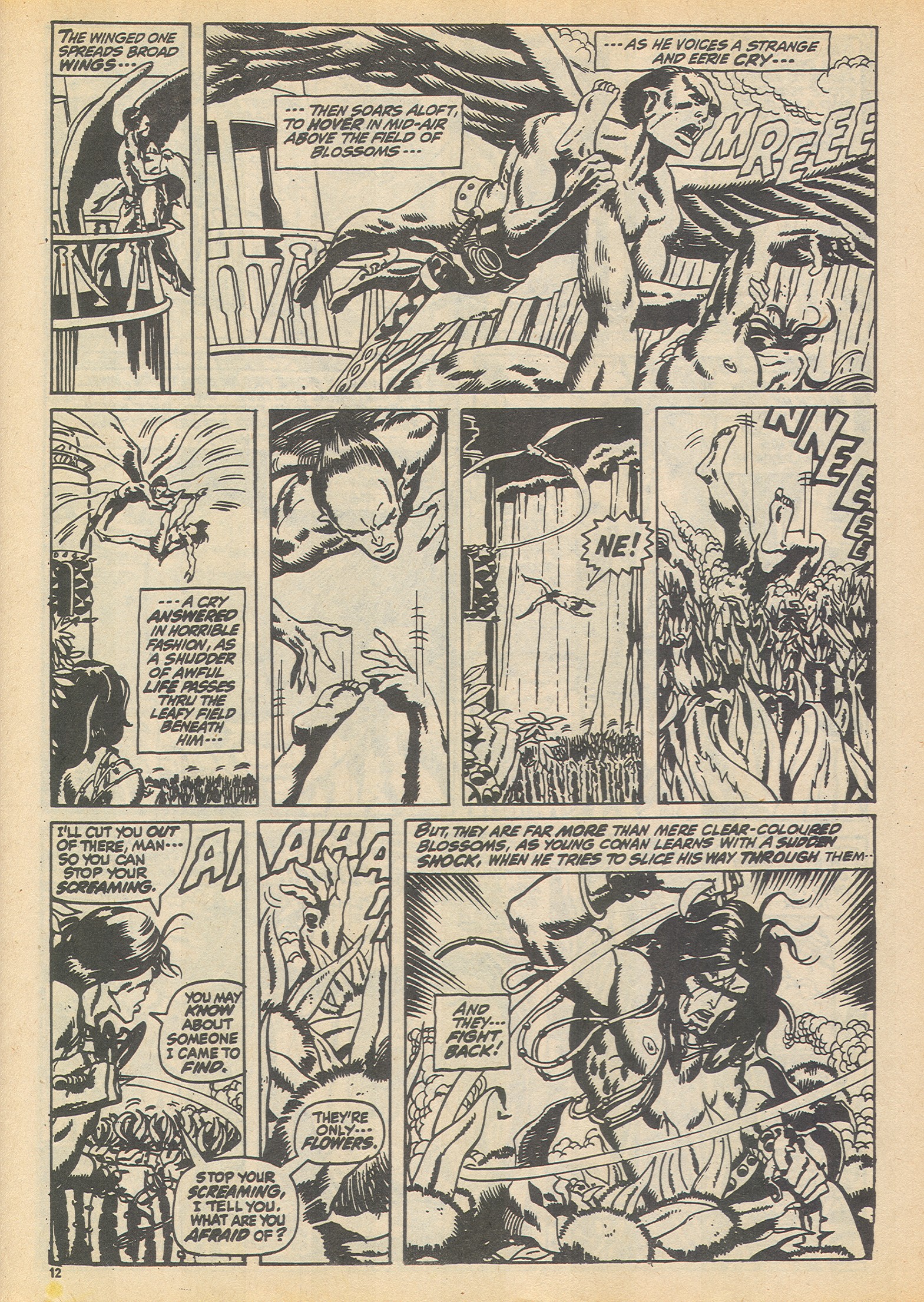 Read online The Savage Sword of Conan (1975) comic -  Issue #9 - 12