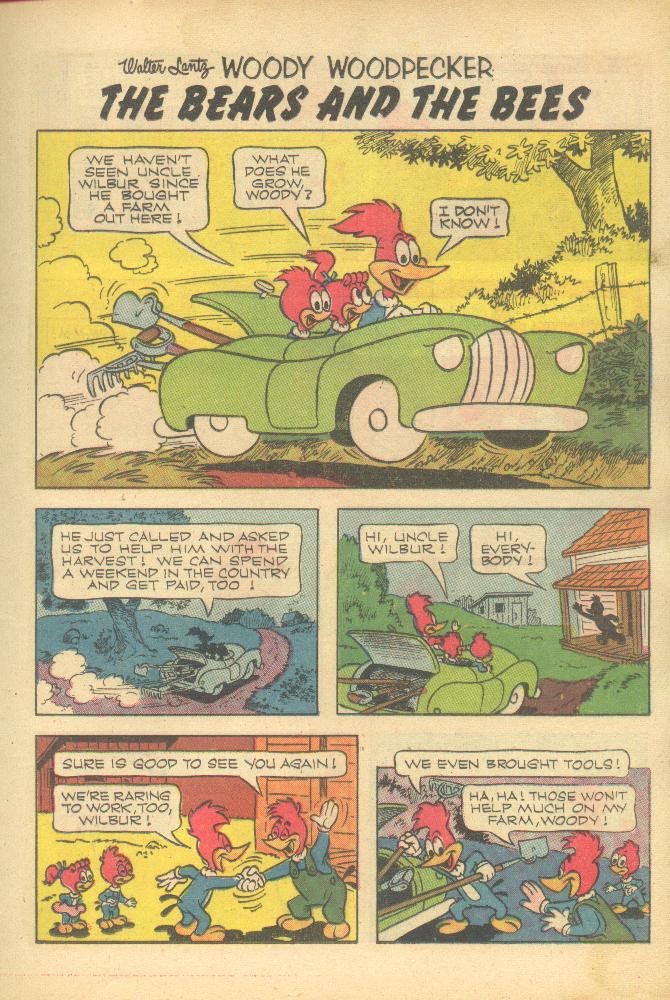 Read online Walter Lantz Woody Woodpecker (1962) comic -  Issue #77 - 13