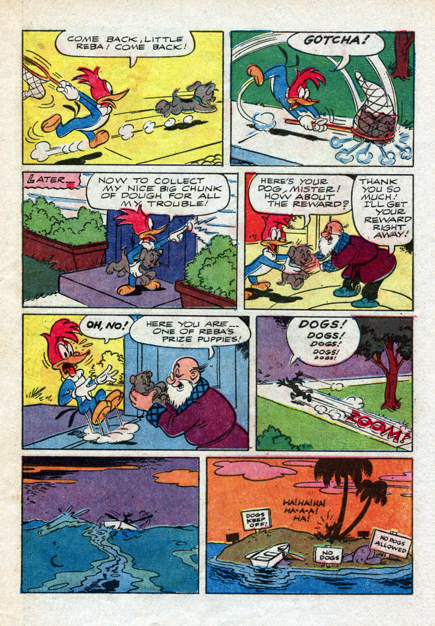 Read online Walter Lantz Woody Woodpecker (1962) comic -  Issue #93 - 31