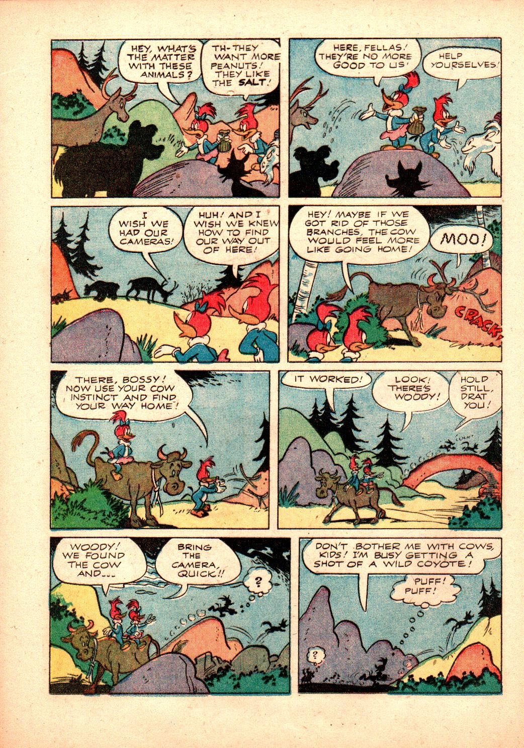 Read online Walter Lantz Woody Woodpecker (1952) comic -  Issue #24 - 20