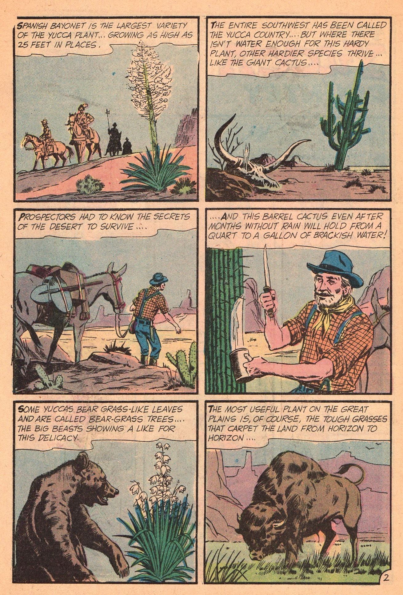 Read online Wyatt Earp Frontier Marshal comic -  Issue #62 - 32