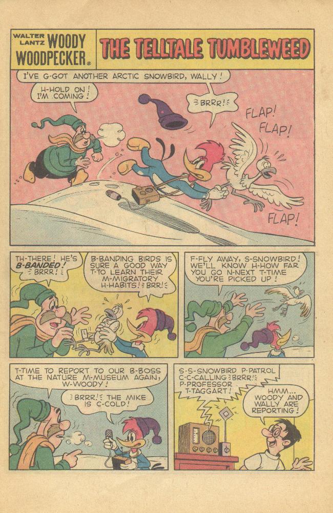 Read online Walter Lantz Woody Woodpecker (1962) comic -  Issue #120 - 21