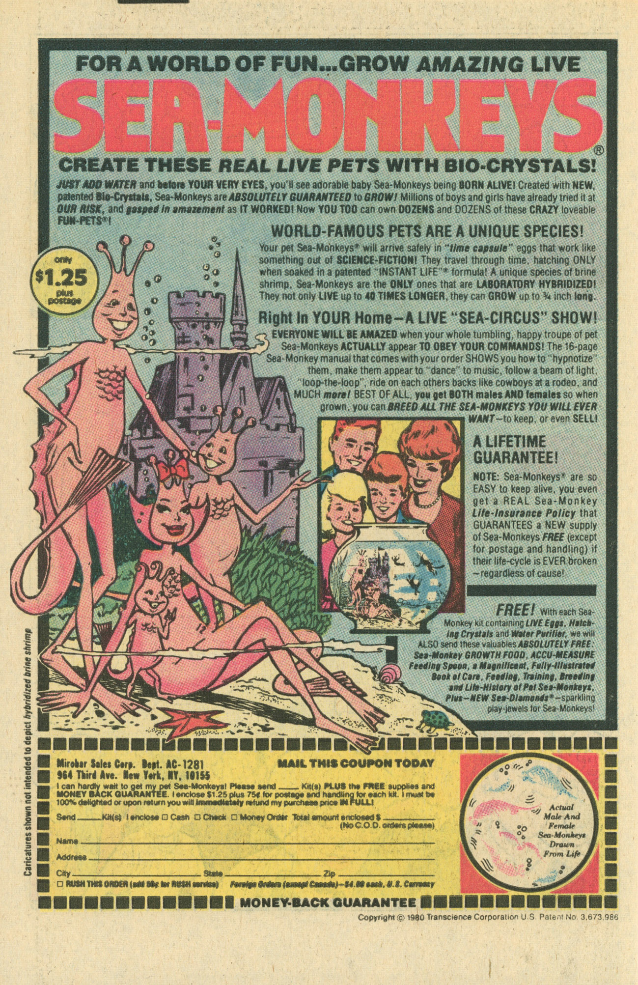 Read online Laugh (Comics) comic -  Issue #369 - 34