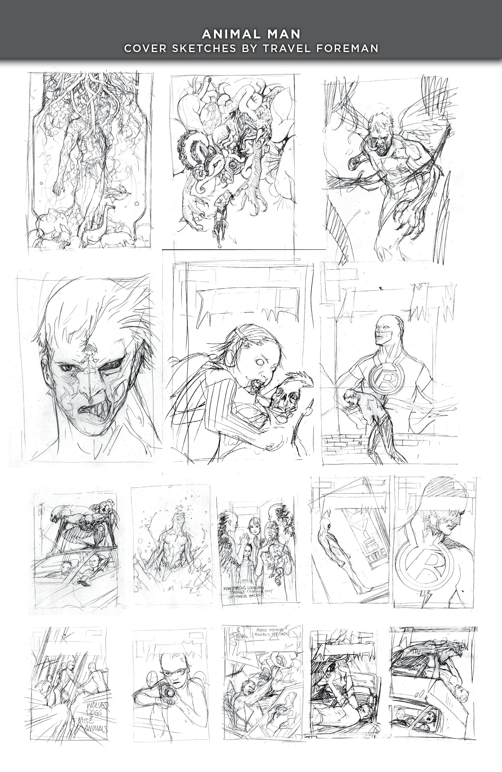 Read online Animal Man: The Hunt comic -  Issue # TPB - 135