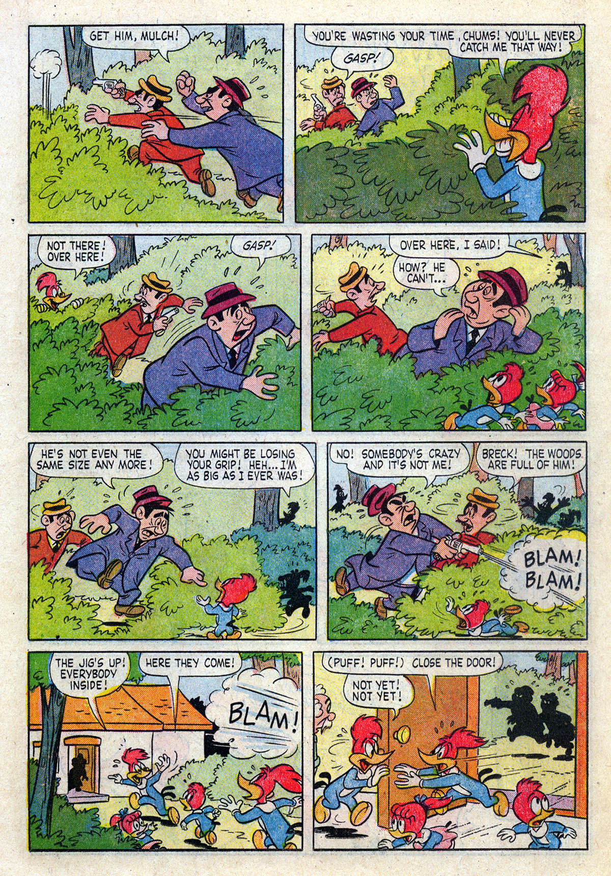 Read online Walter Lantz Woody Woodpecker (1952) comic -  Issue #64 - 15
