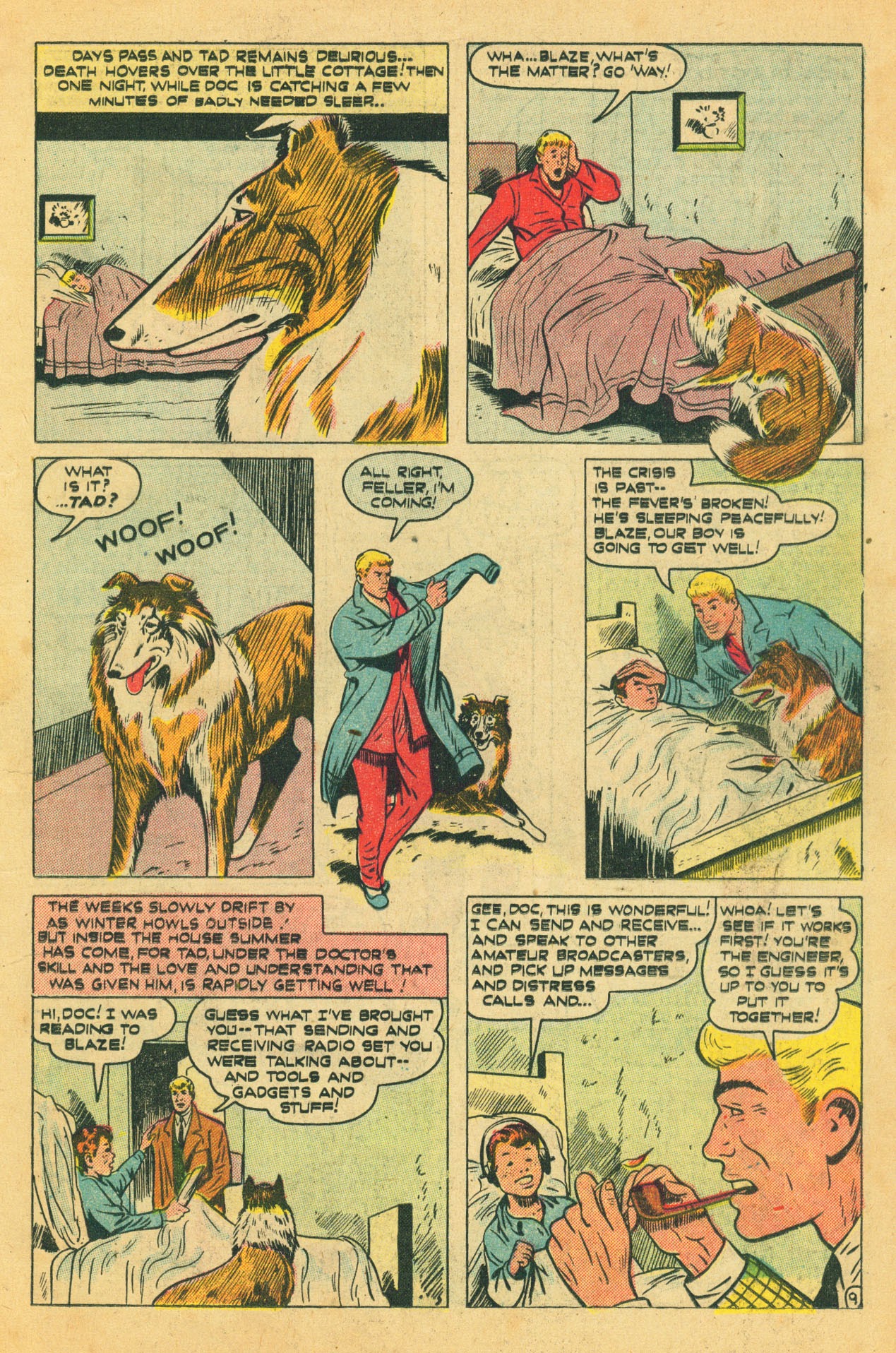 Read online Blaze the Wonder Collie comic -  Issue #3 - 11