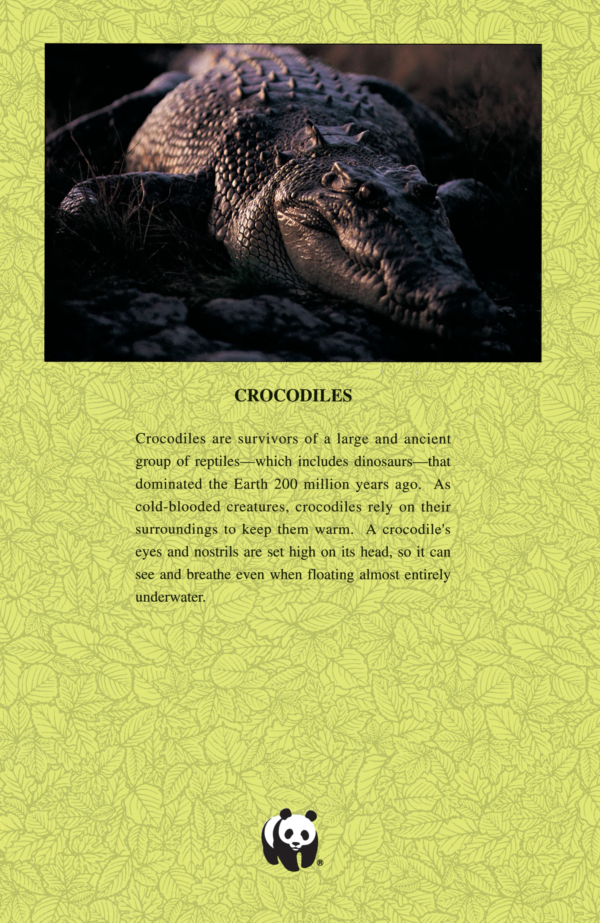 Read online Wolverine Epic Collection: Blood Debt comic -  Issue #Wolverine Epic Collection TPB 6 (Part 4) - 54