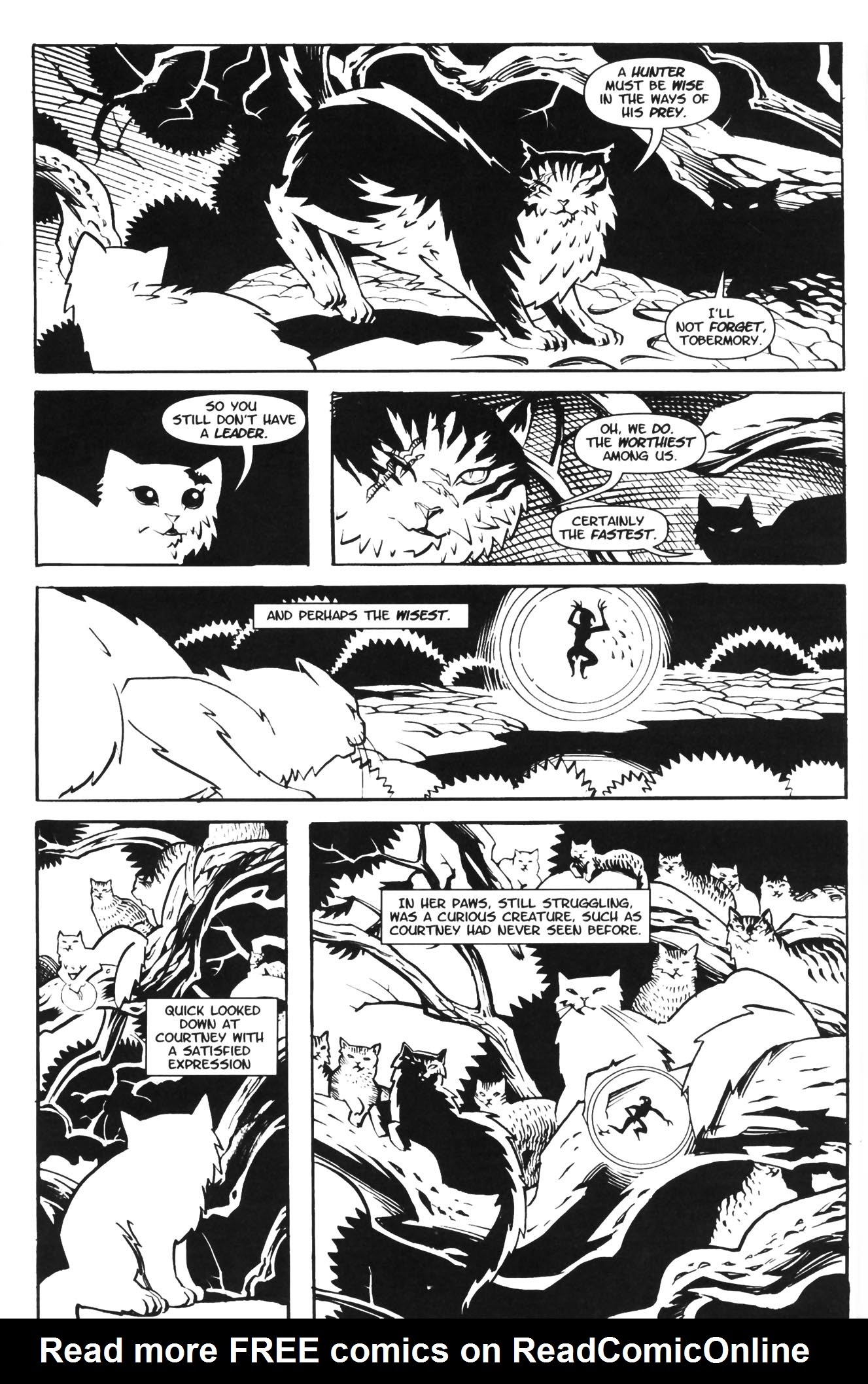 Read online Courtney Crumrin and the Coven of Mystics comic -  Issue #2 - 28