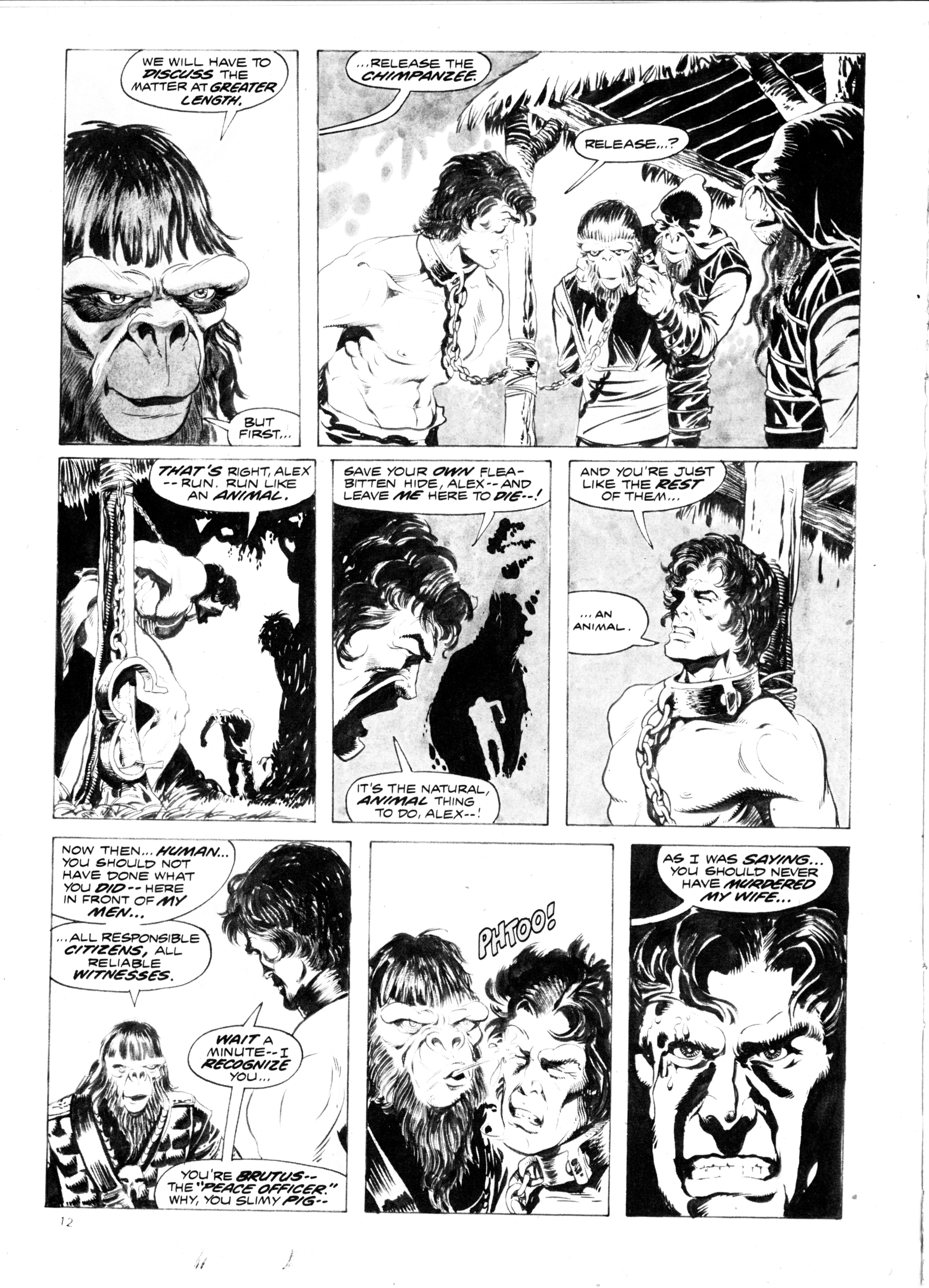 Read online Planet of the Apes (1974) comic -  Issue #13 - 12