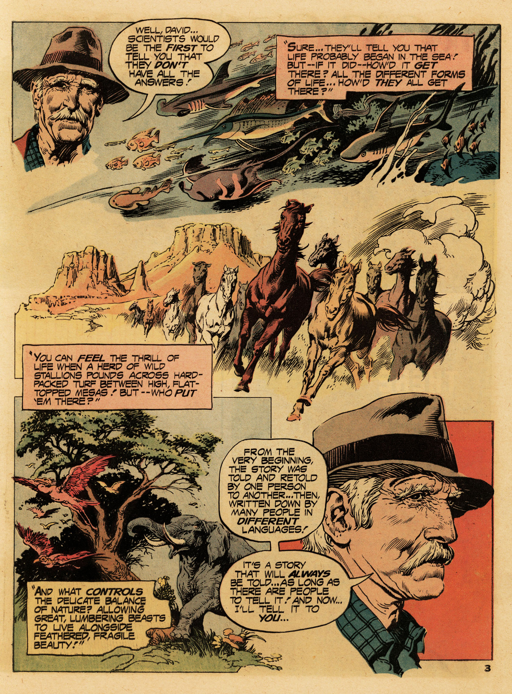Read online Limited Collectors' Edition comic -  Issue #36 - 4