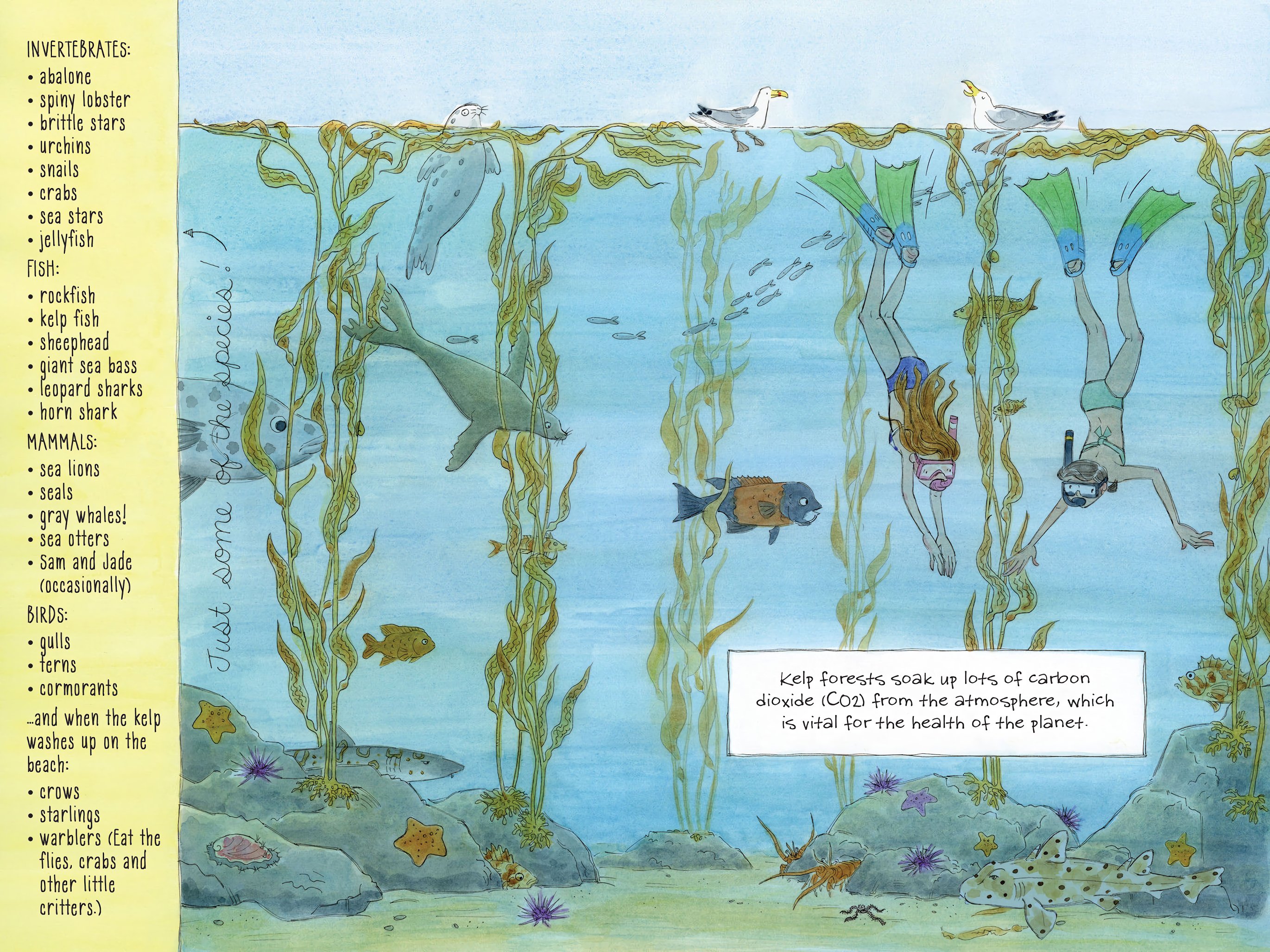 Read online The Science of Surfing: A Surfside Girls Guide to the Ocean comic -  Issue # TPB - 63