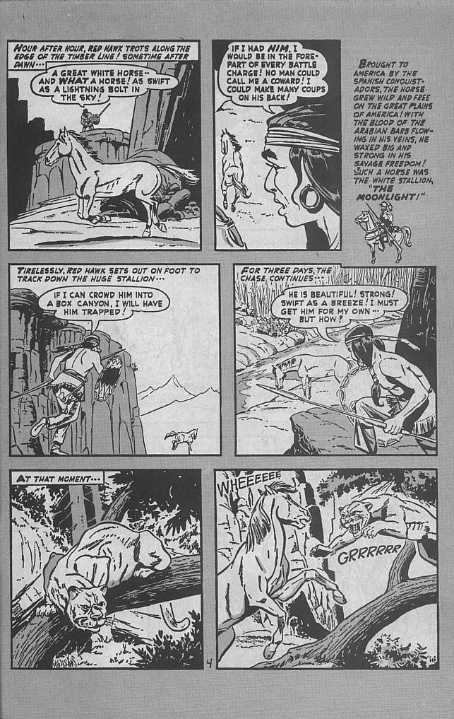 Read online Red Mask of the Rio Grande comic -  Issue #2 - 31