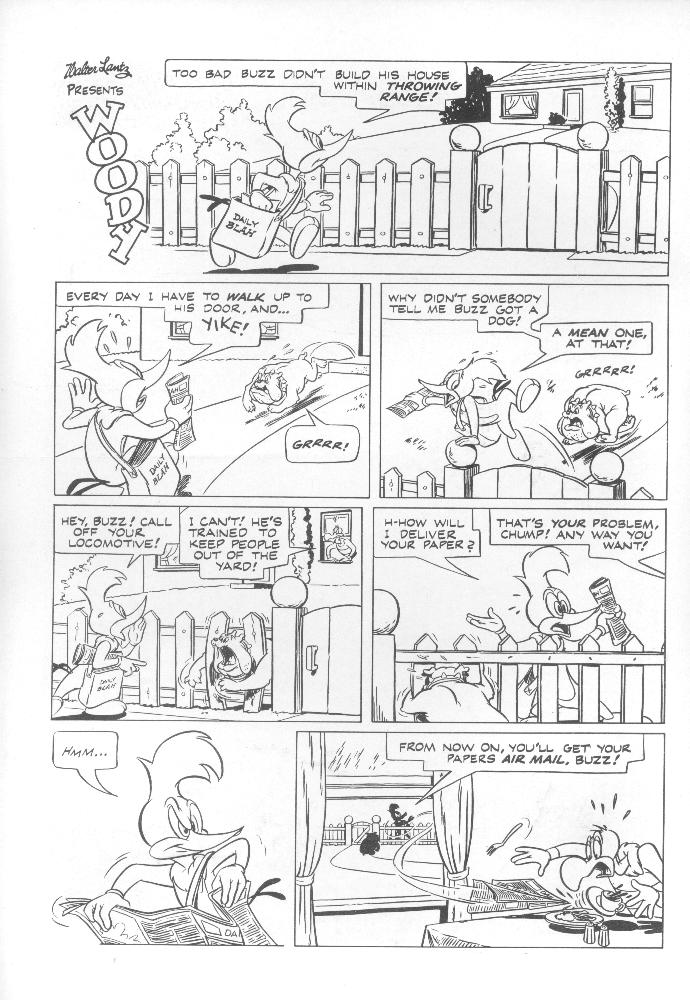 Read online Walter Lantz Woody Woodpecker (1962) comic -  Issue #94 - 2