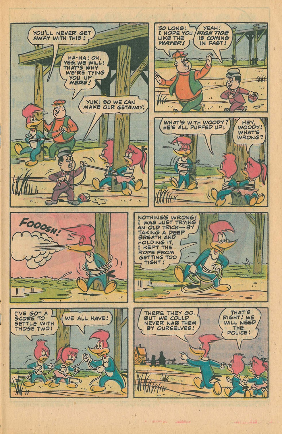 Read online Walter Lantz Woody Woodpecker (1962) comic -  Issue #160 - 21