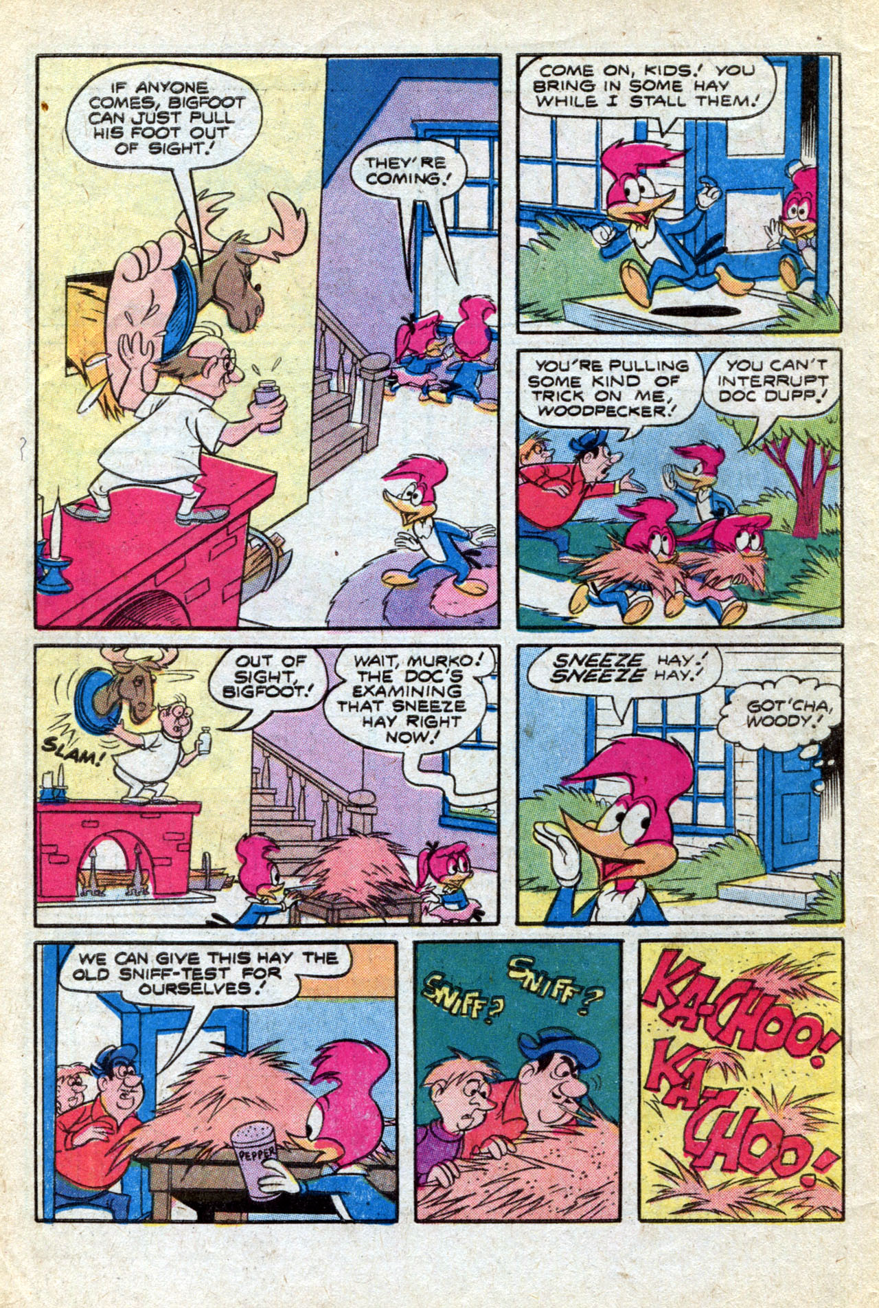 Read online Walter Lantz Woody Woodpecker (1962) comic -  Issue #170 - 10