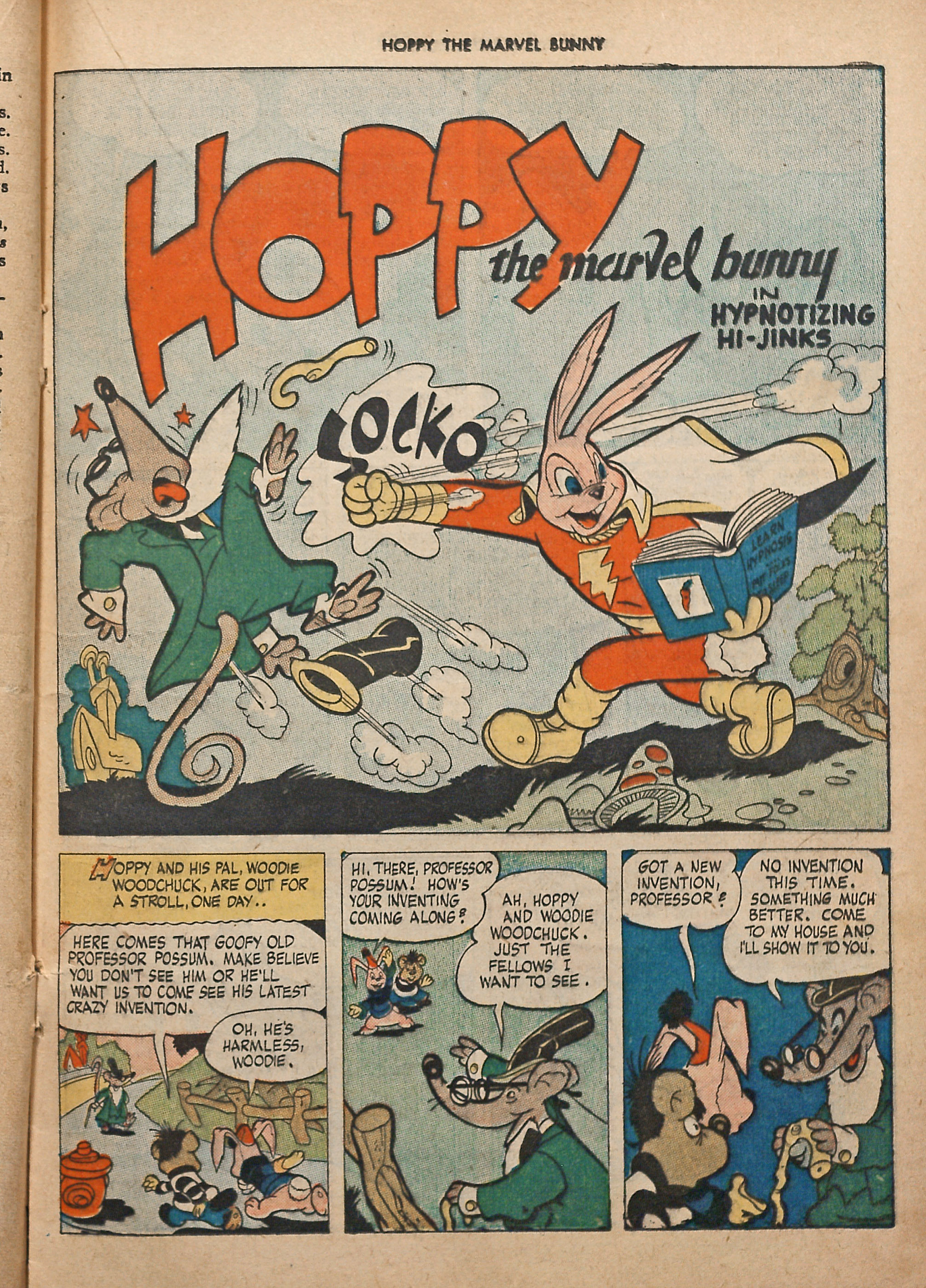 Read online Hoppy The Marvel Bunny comic -  Issue #12 - 23