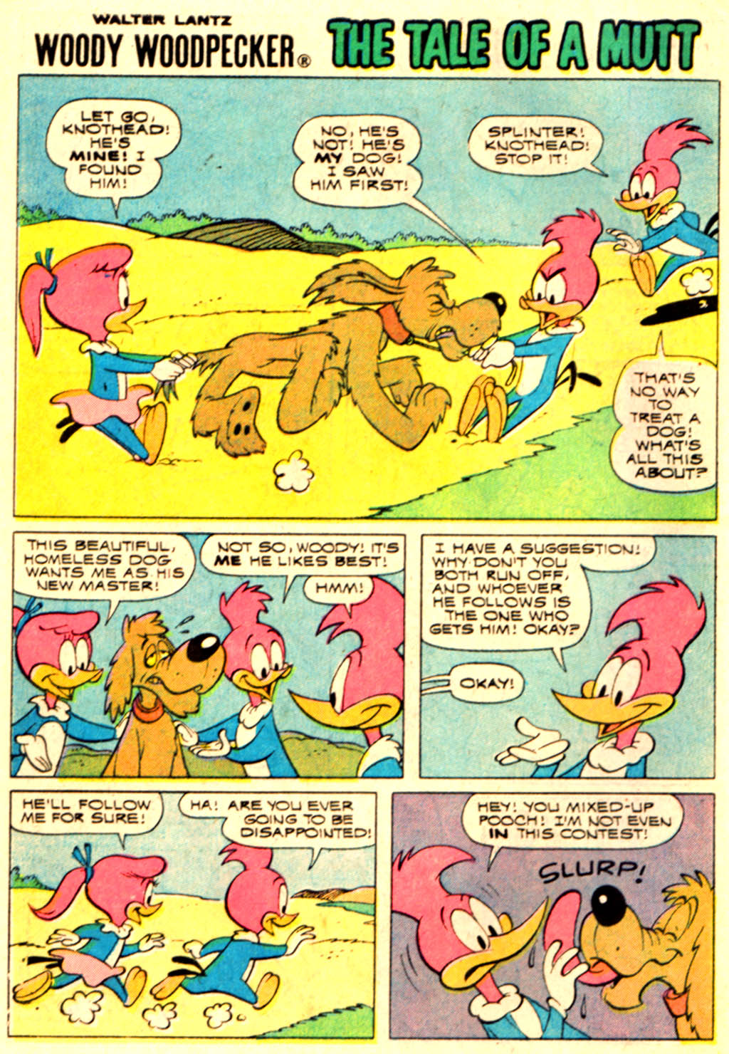 Read online Walter Lantz Woody Woodpecker (1962) comic -  Issue #132 - 8