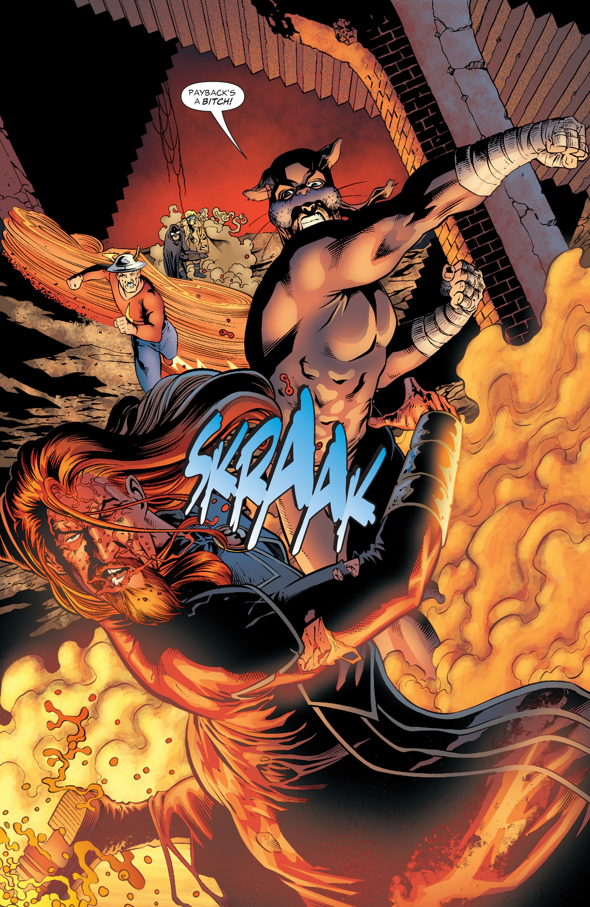 Read online JSA (1999) comic -  Issue #79 - 14