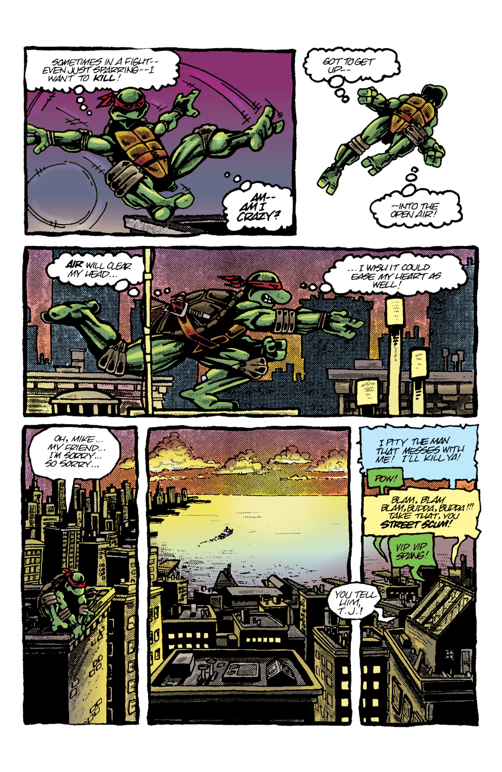 Read online Teenage Mutant Ninja Turtles: Best Of comic -  Issue # Raphael - 8