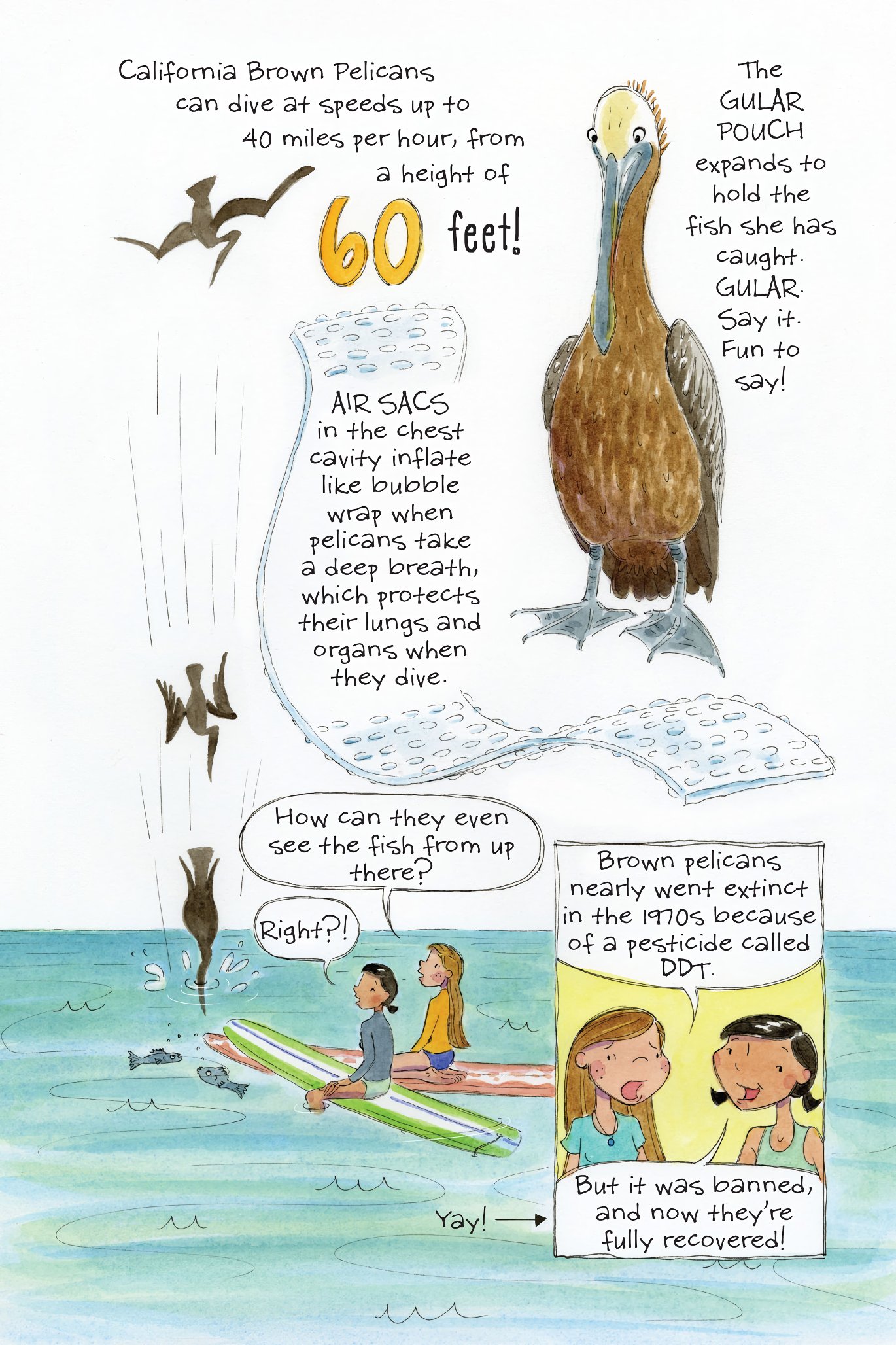Read online The Science of Surfing: A Surfside Girls Guide to the Ocean comic -  Issue # TPB - 50