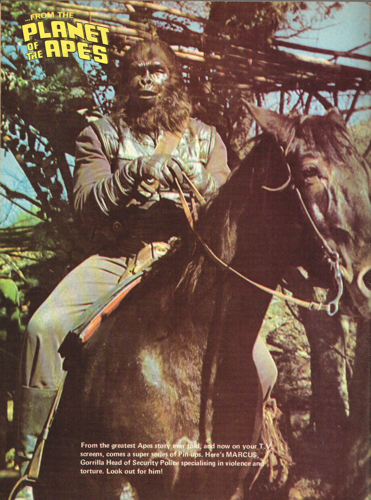 Read online Planet of the Apes (1974) comic -  Issue #3 - 36