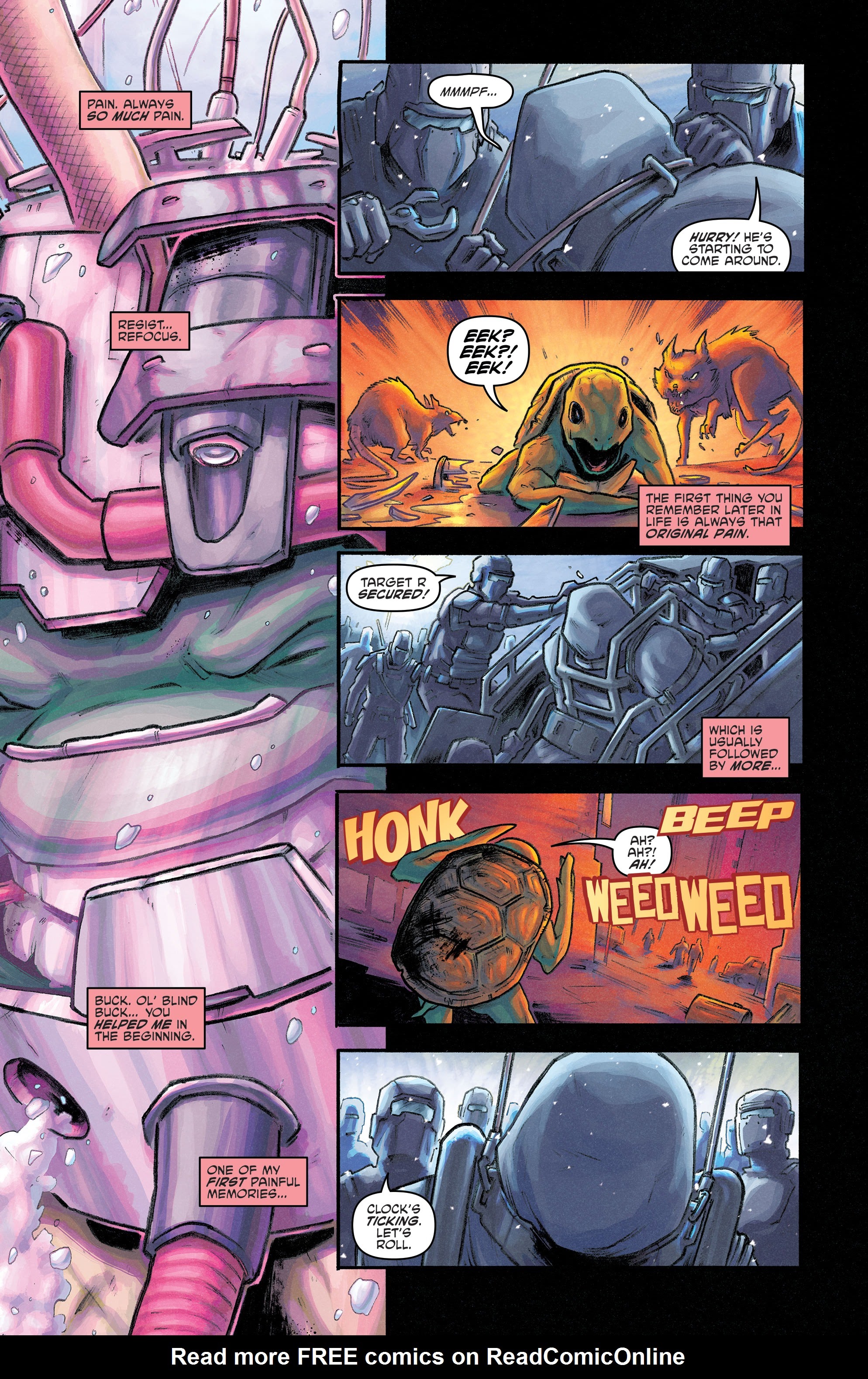 Read online Teenage Mutant Ninja Turtles: Best Of comic -  Issue # Raphael - 61