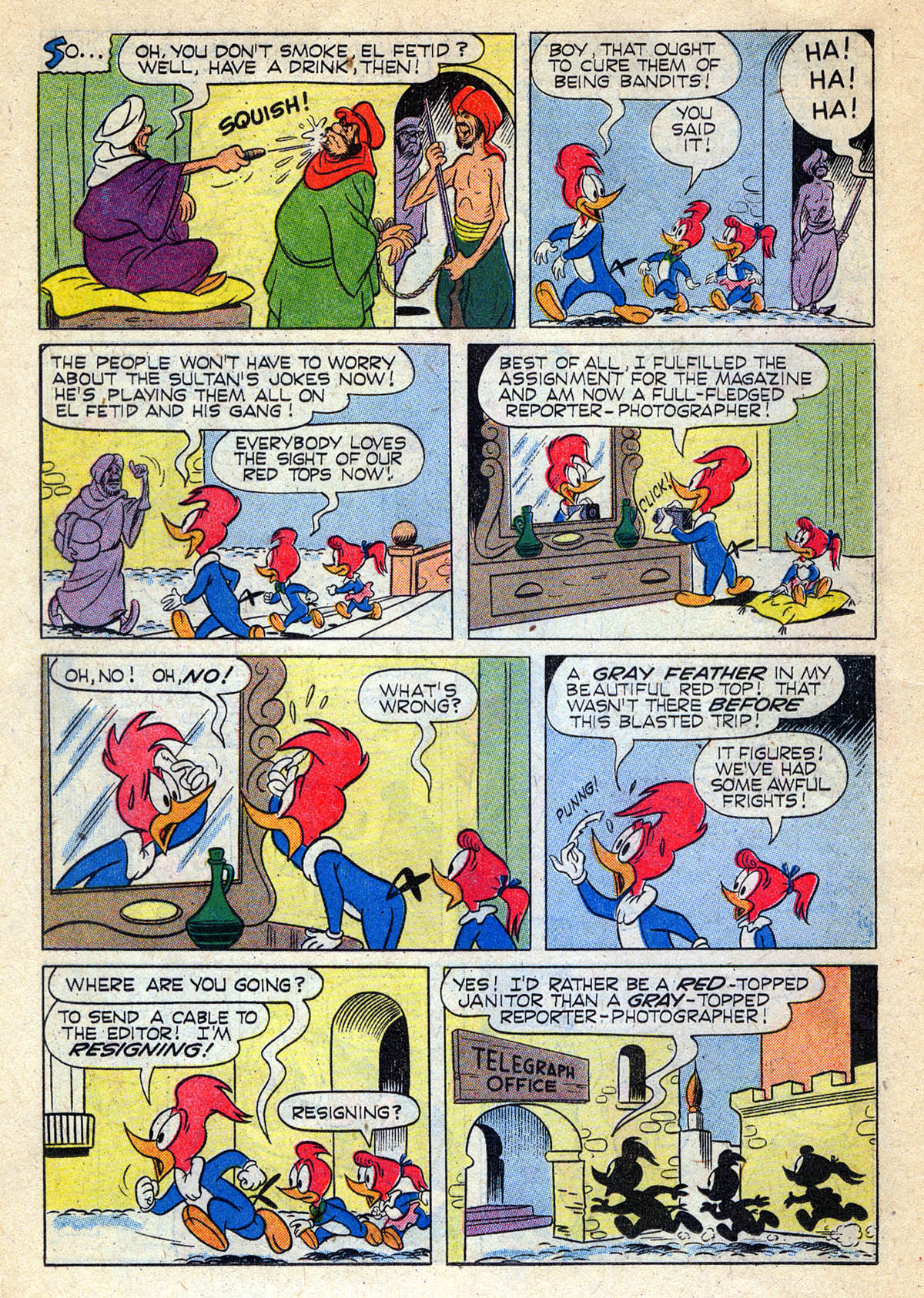 Read online Walter Lantz Woody Woodpecker (1952) comic -  Issue #48 - 18