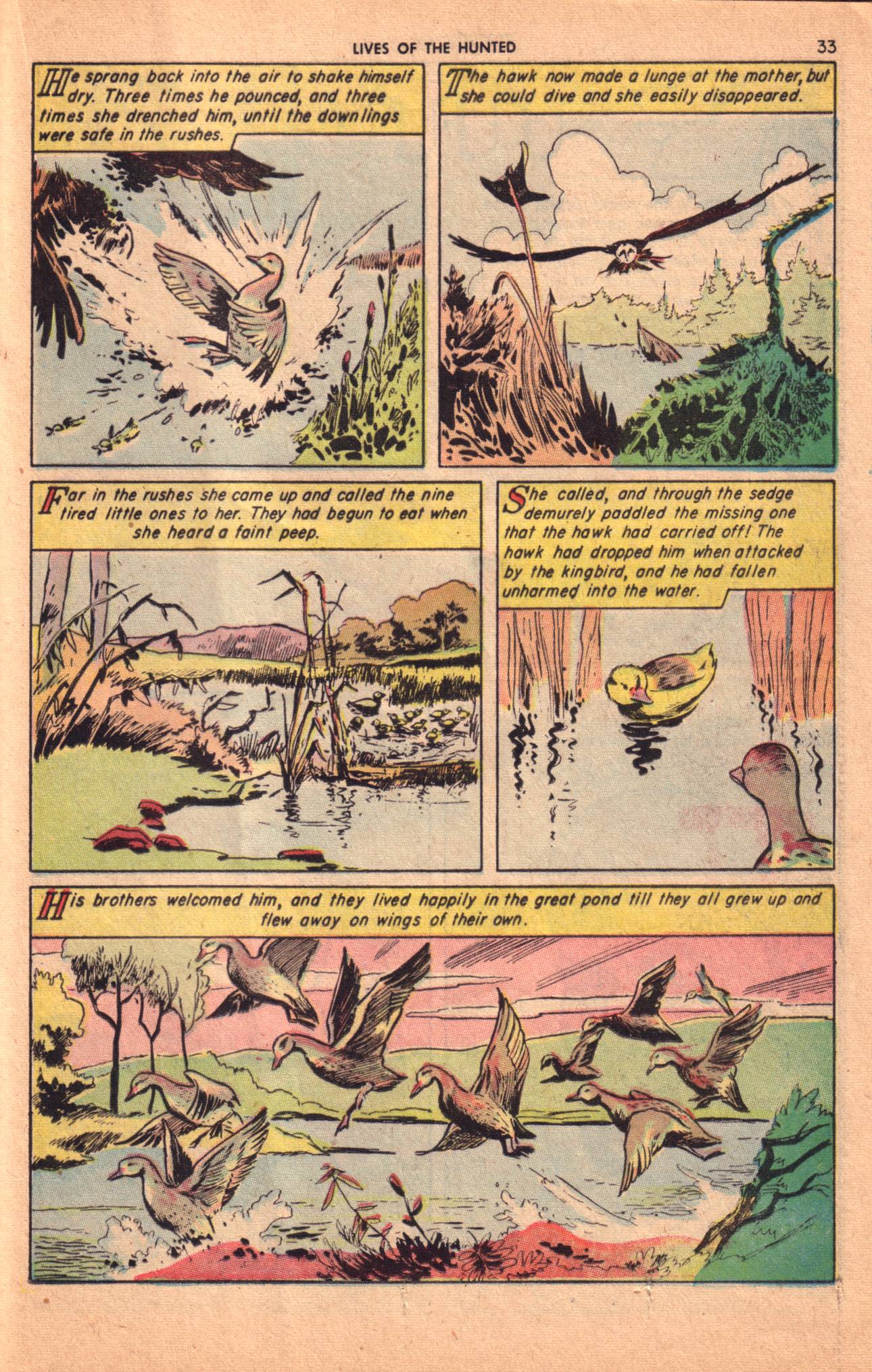 Read online Classics Illustrated comic -  Issue #157 - 35