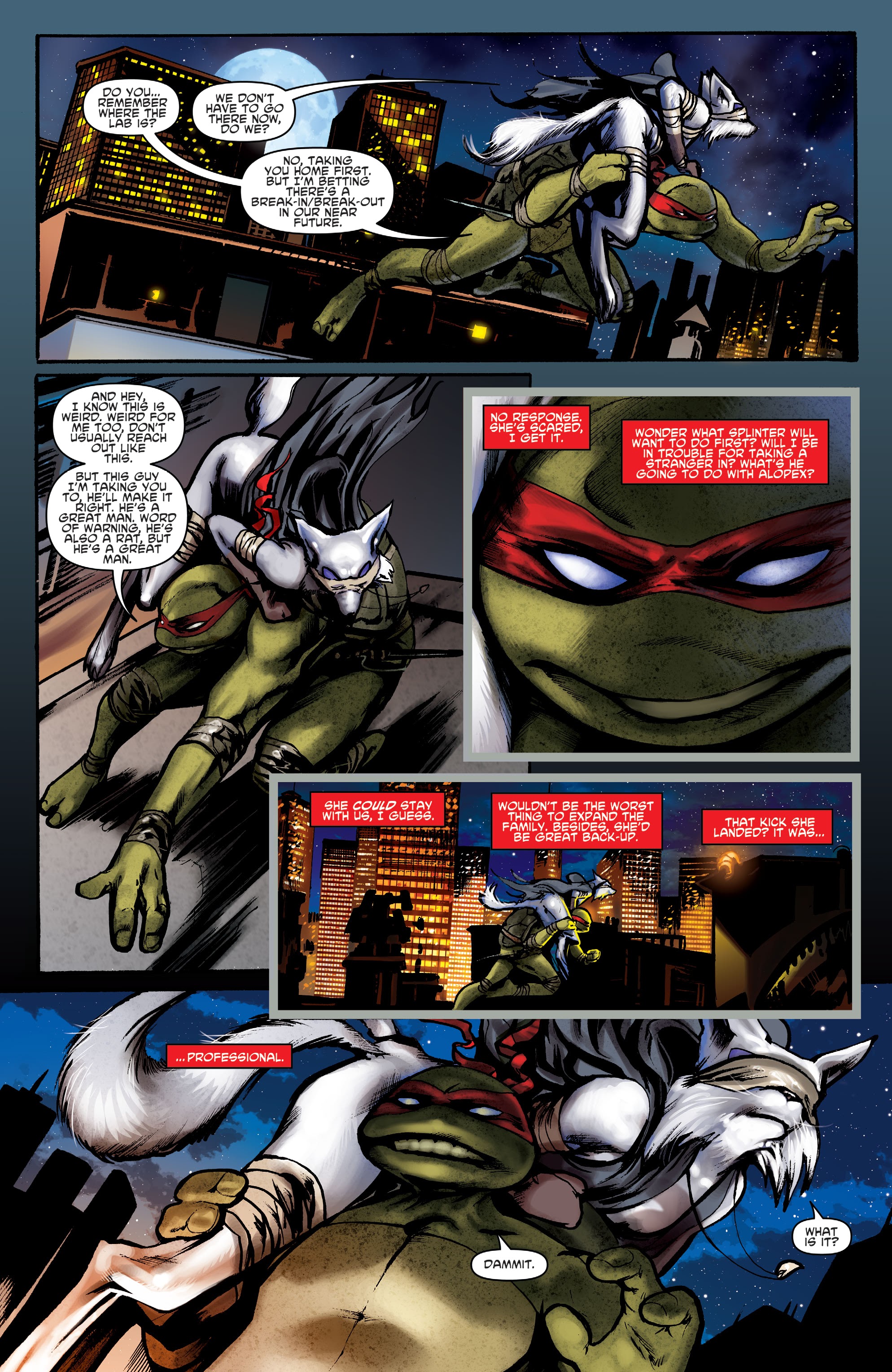 Read online Teenage Mutant Ninja Turtles: Best Of comic -  Issue # Raphael - 41