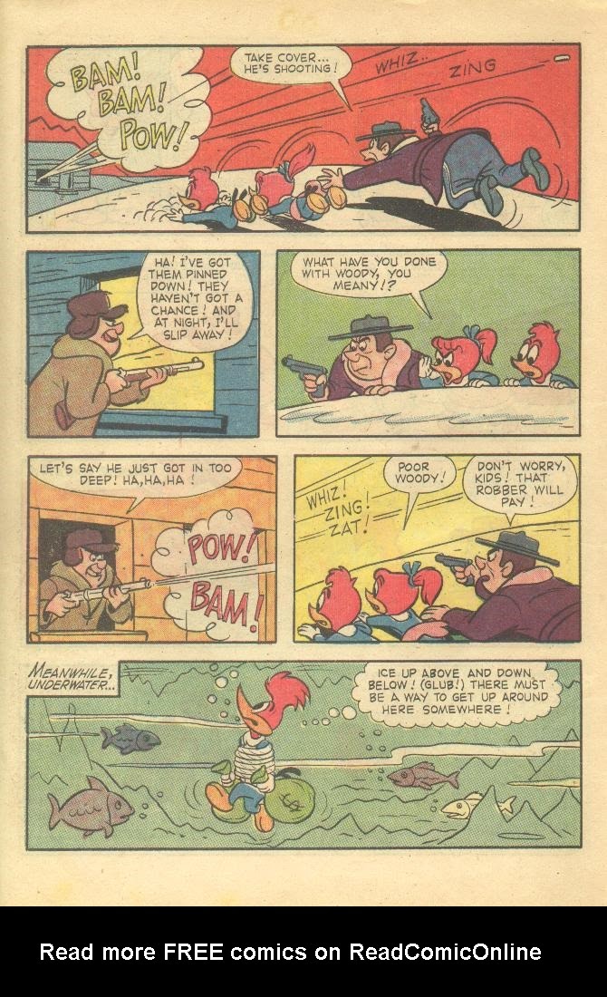 Read online Walter Lantz Woody Woodpecker (1962) comic -  Issue #78 - 10