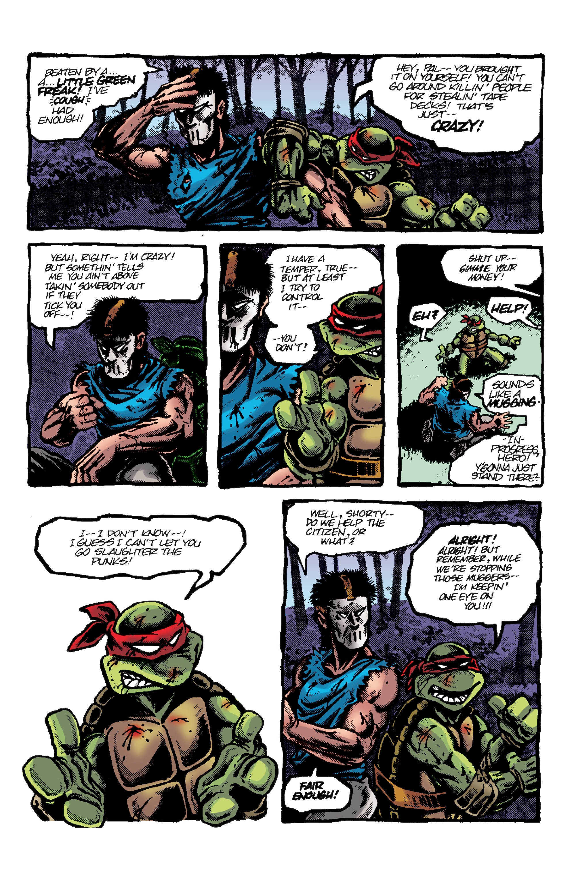 Read online Teenage Mutant Ninja Turtles: Best Of comic -  Issue # Raphael - 27