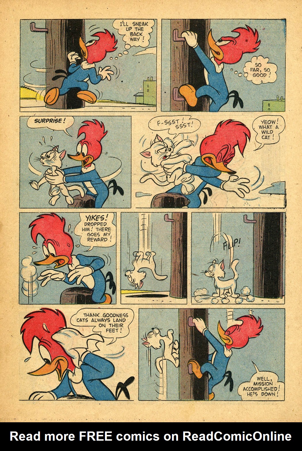 Read online Walter Lantz Woody Woodpecker (1952) comic -  Issue #39 - 23