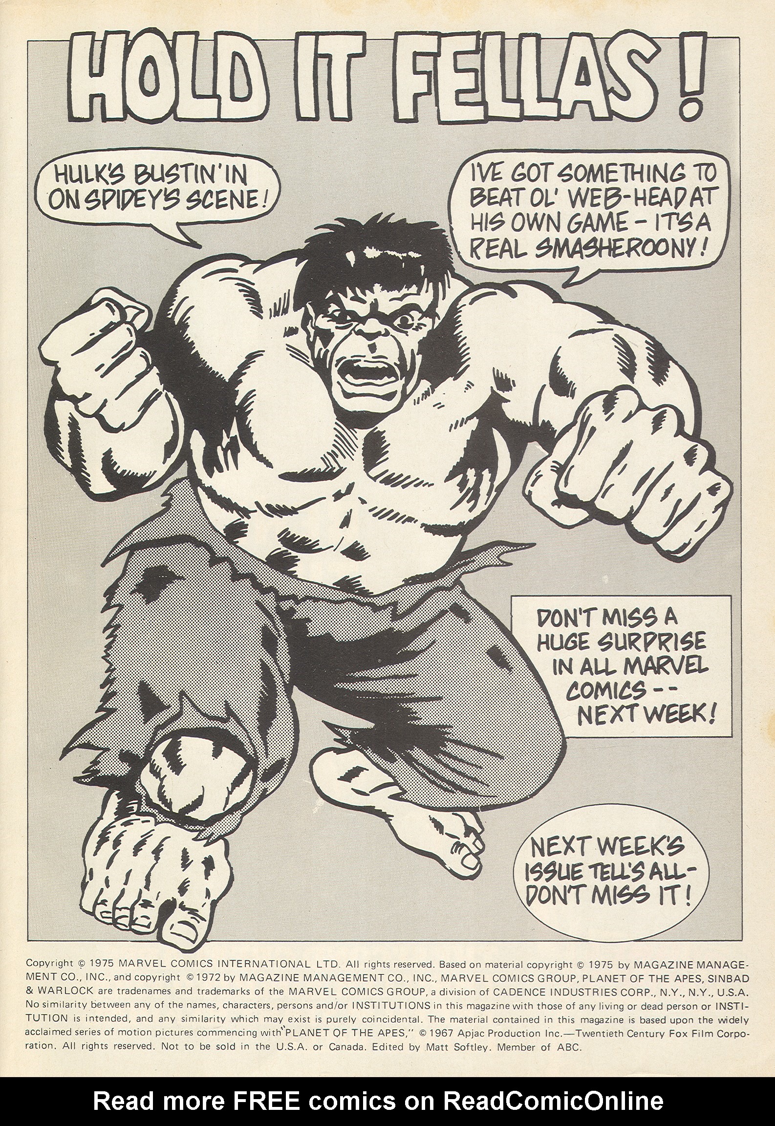 Read online The Savage Sword of Conan (1975) comic -  Issue #16 - 35