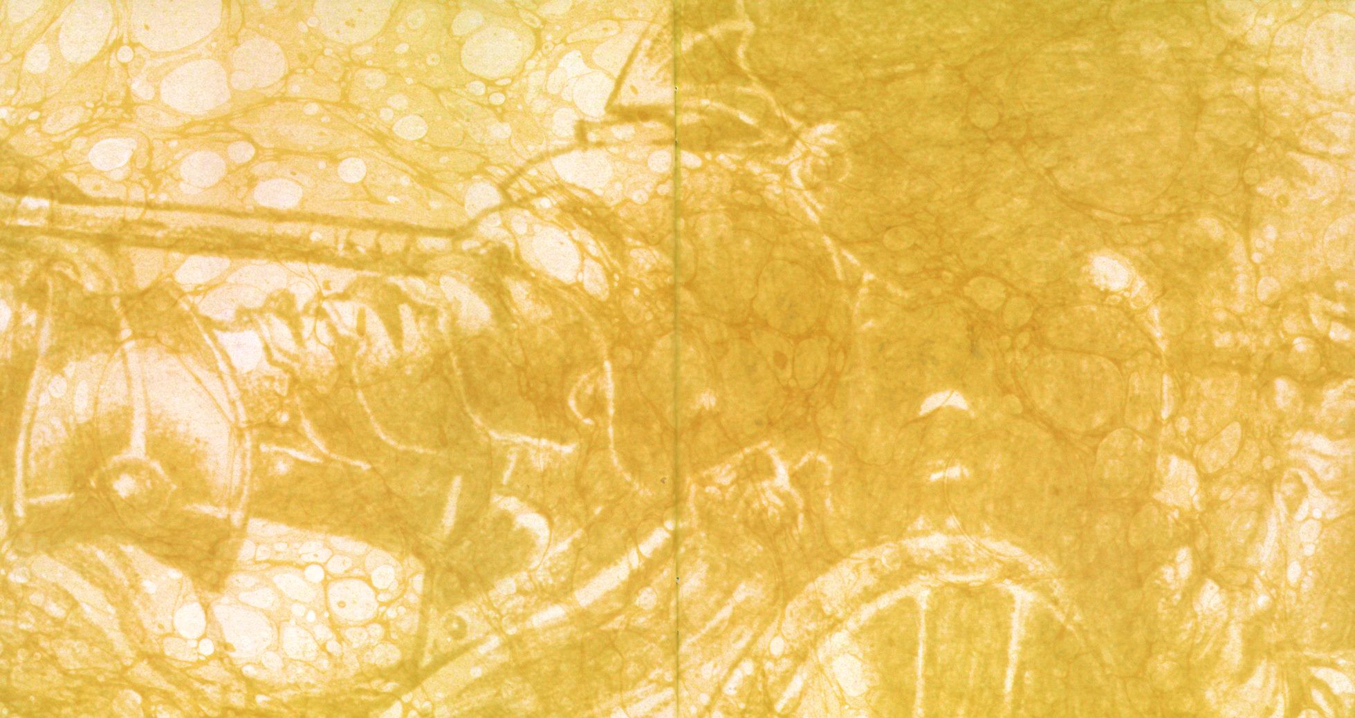 Read online Aria: A Midwinter's Dream comic -  Issue # Full - 2