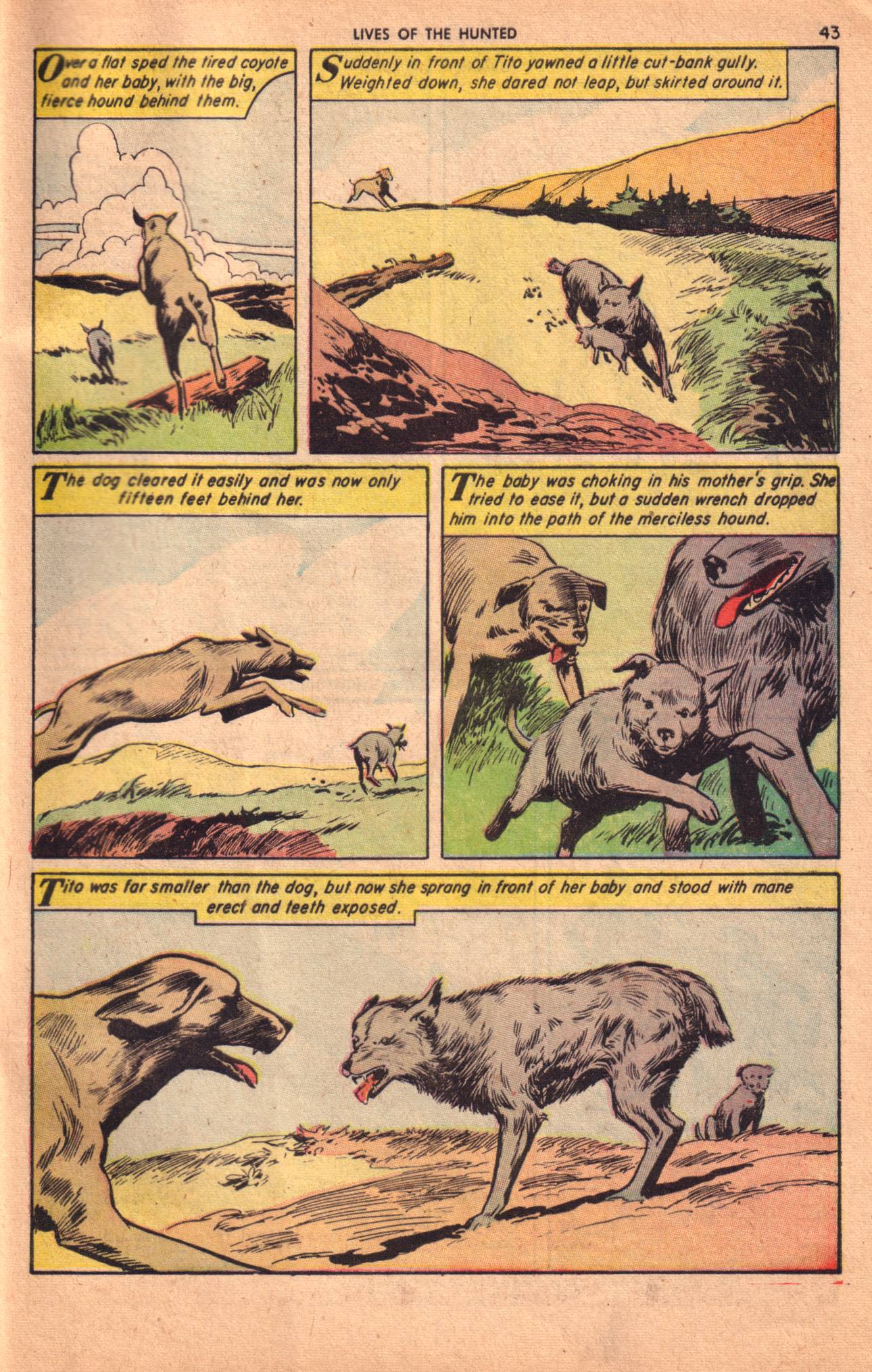 Read online Classics Illustrated comic -  Issue #157 - 45
