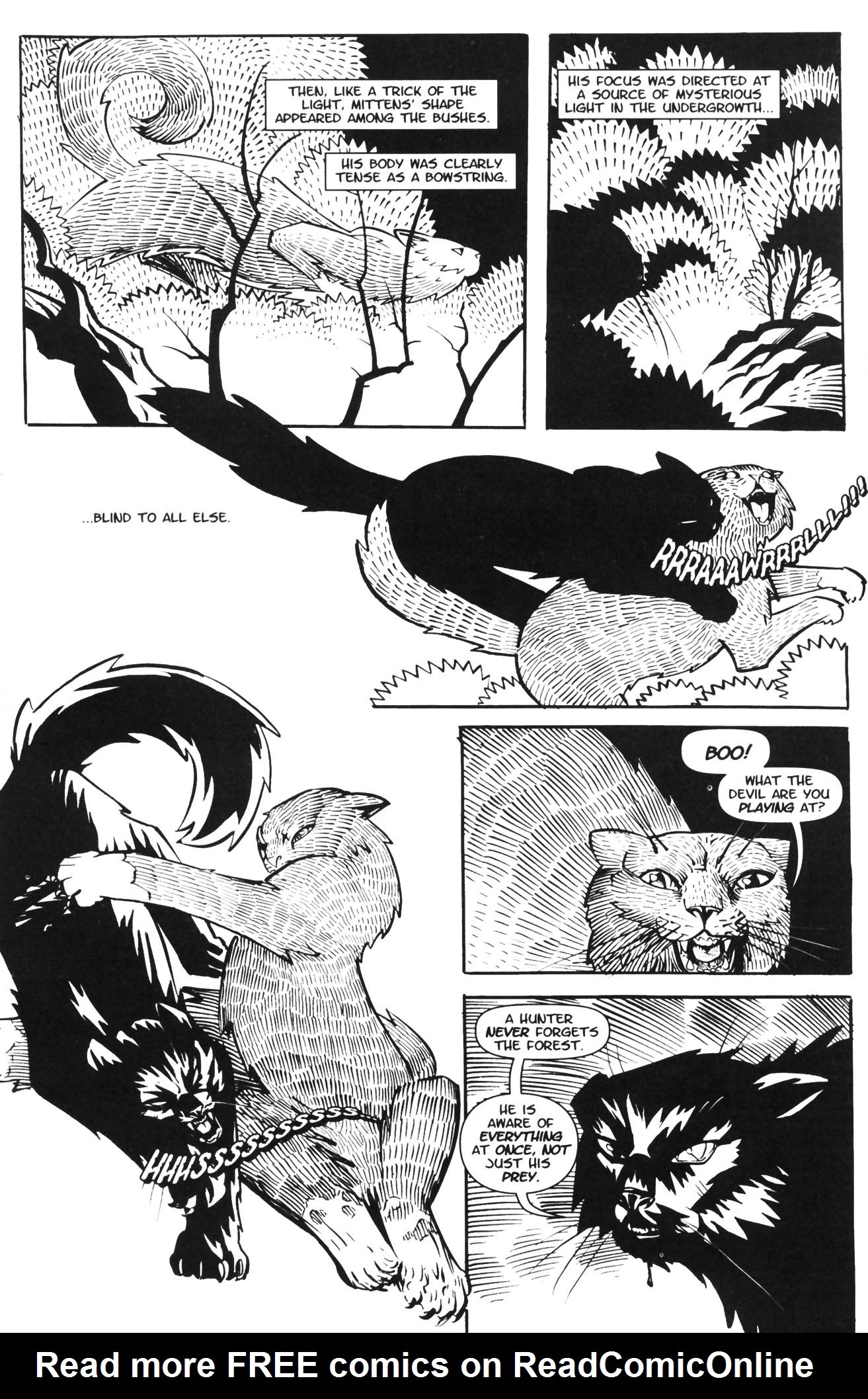 Read online Courtney Crumrin and the Coven of Mystics comic -  Issue #2 - 19