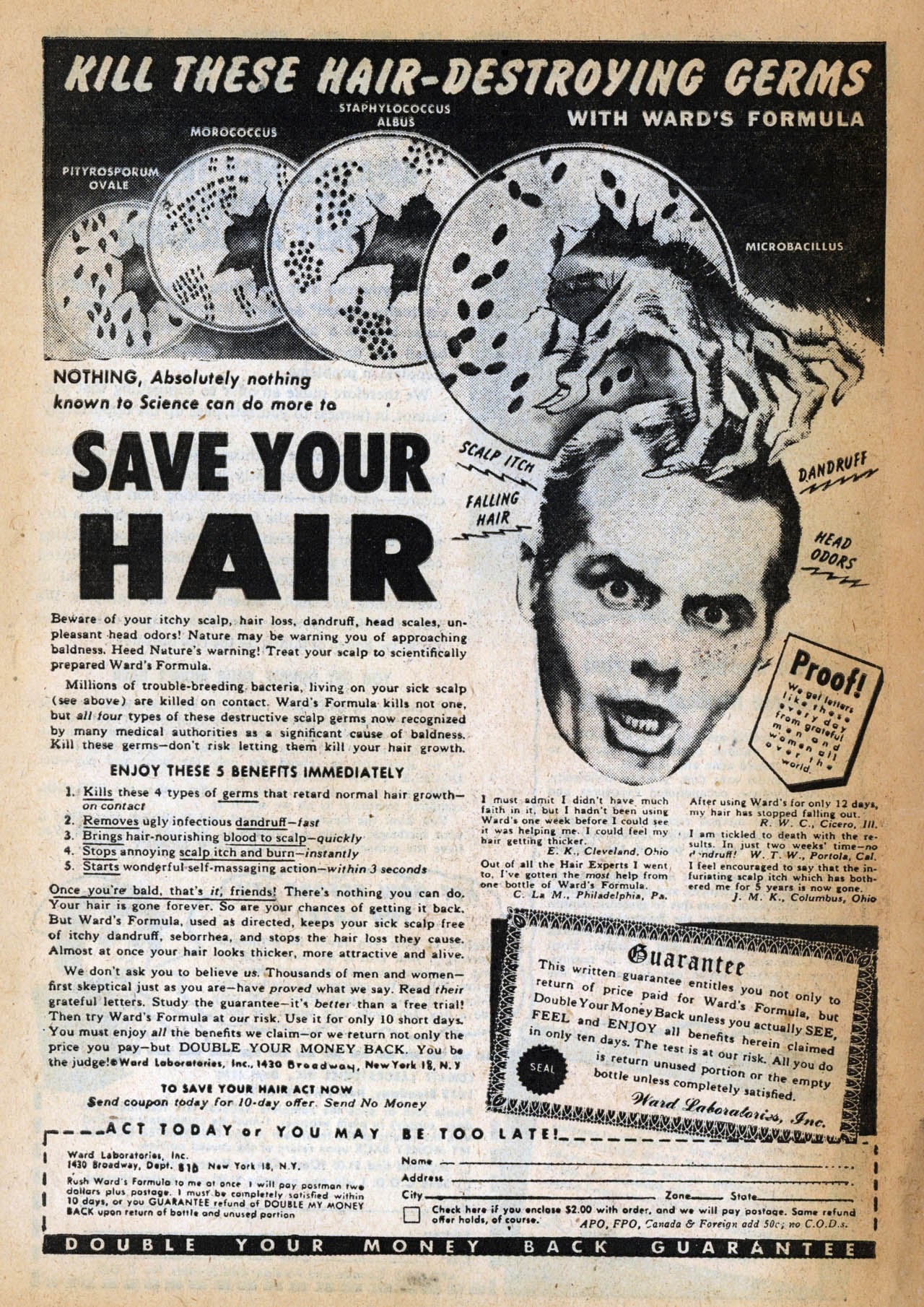 Read online Red Warrior comic -  Issue #2 - 34