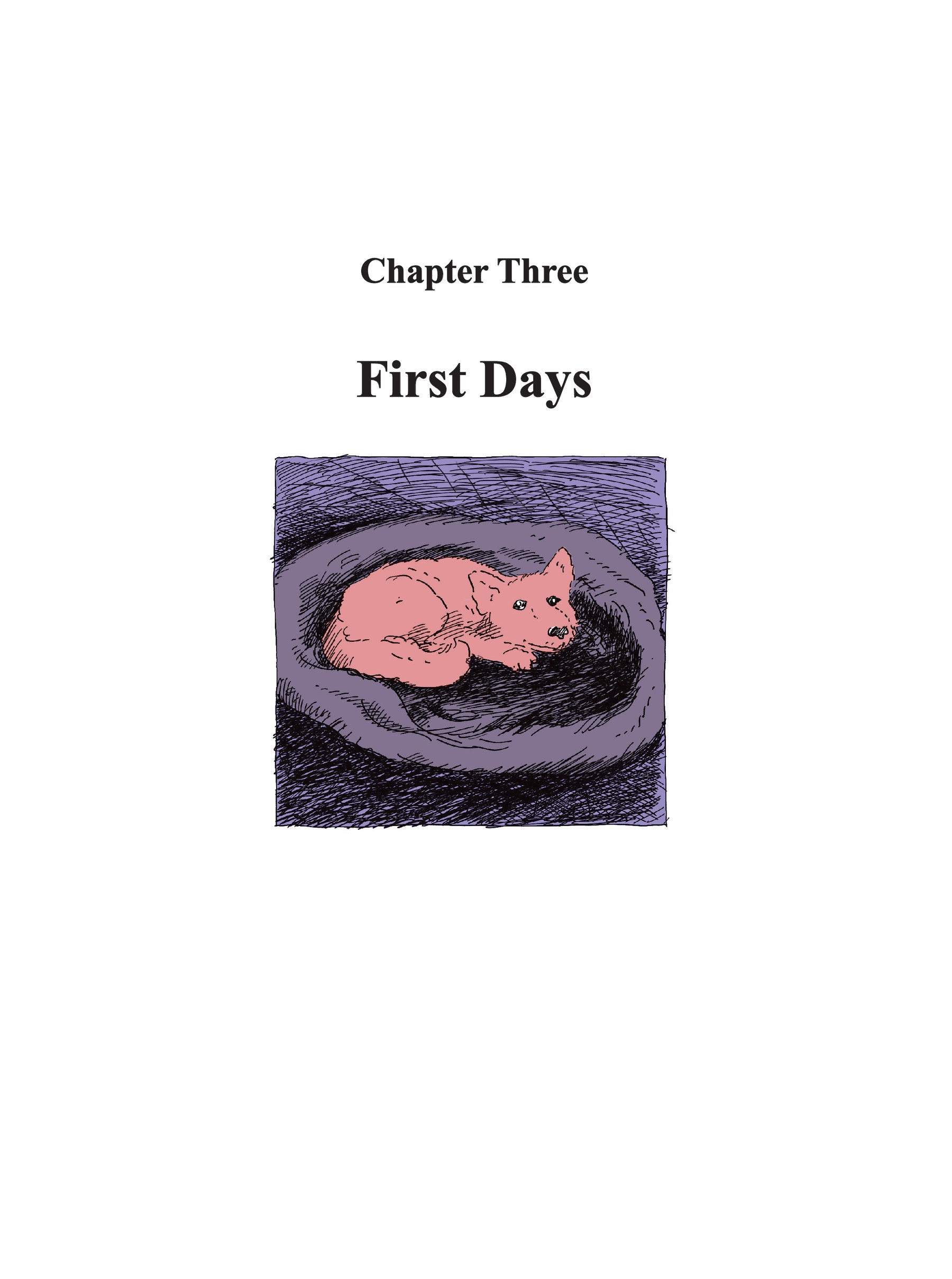 Read online Tiki: A Very Ruff Year comic -  Issue # TPB - 38