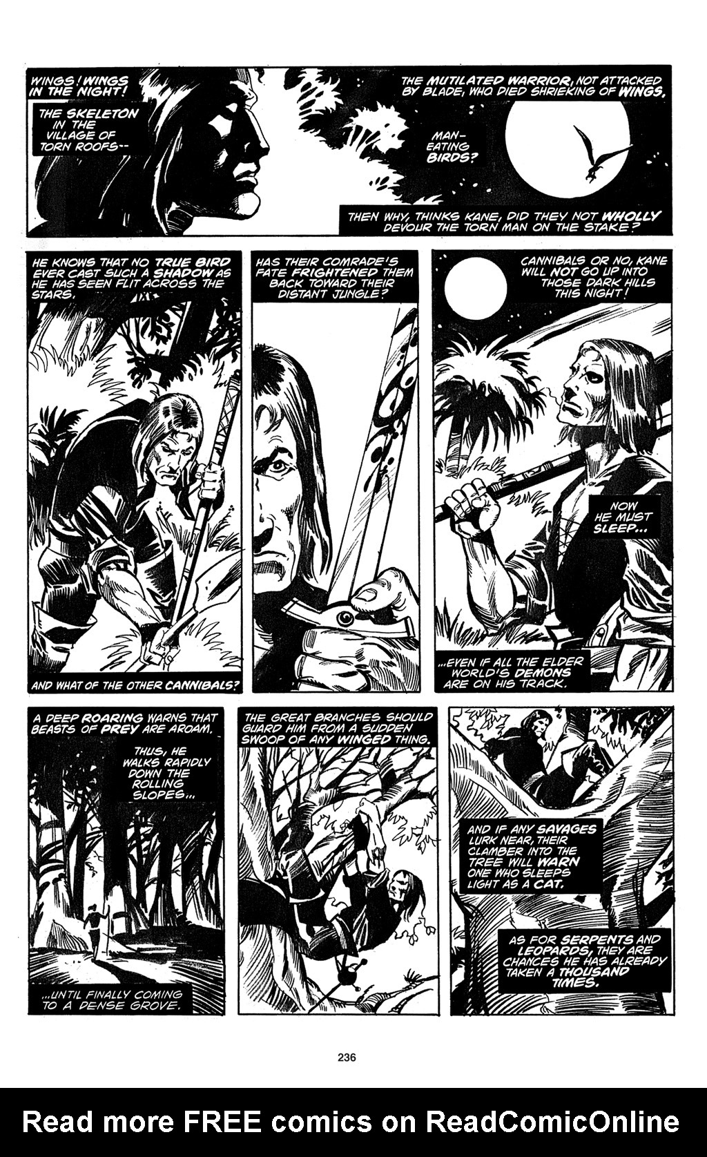 Read online The Saga of Solomon Kane comic -  Issue # TPB - 236