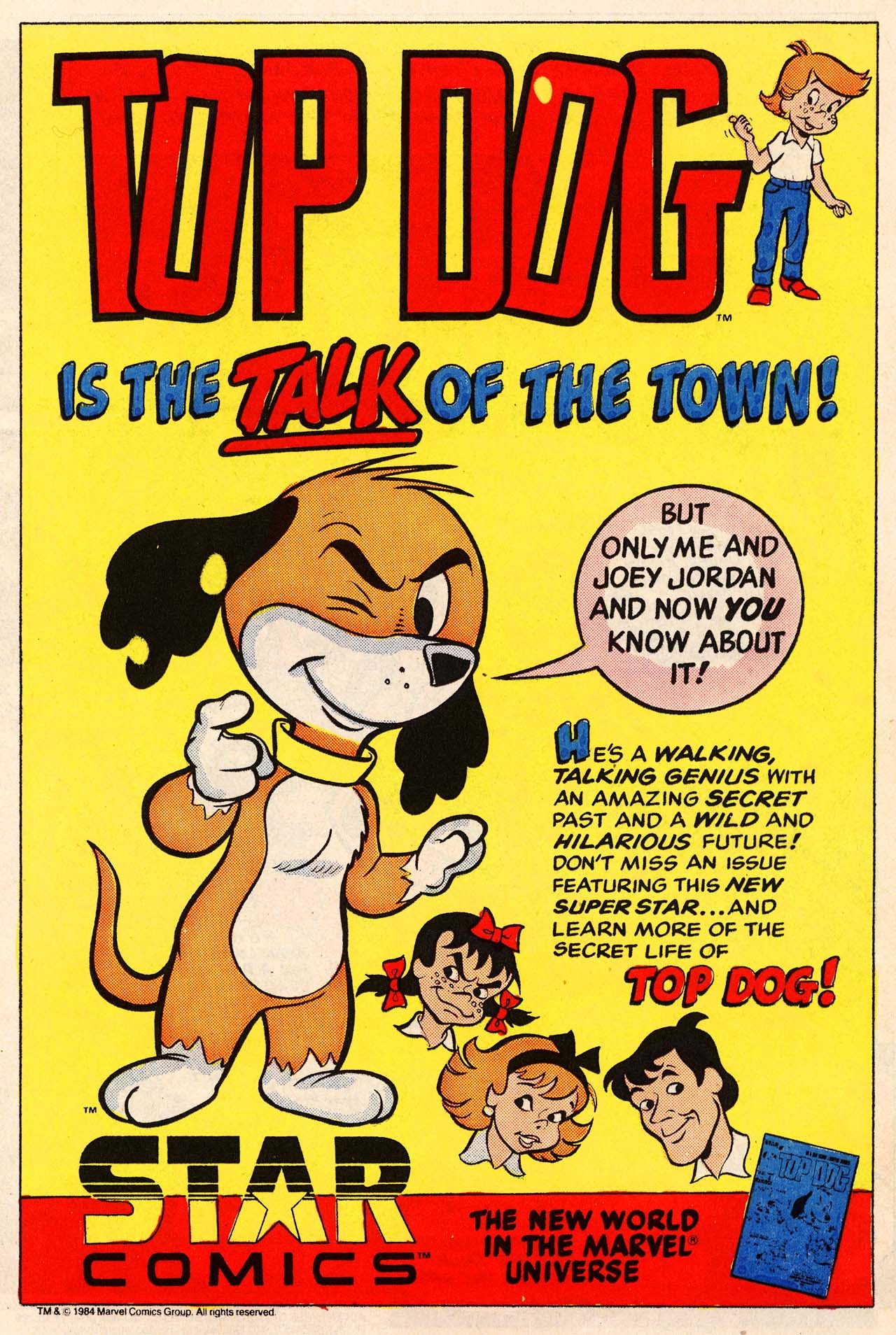 Read online Royal Roy comic -  Issue #6 - 17