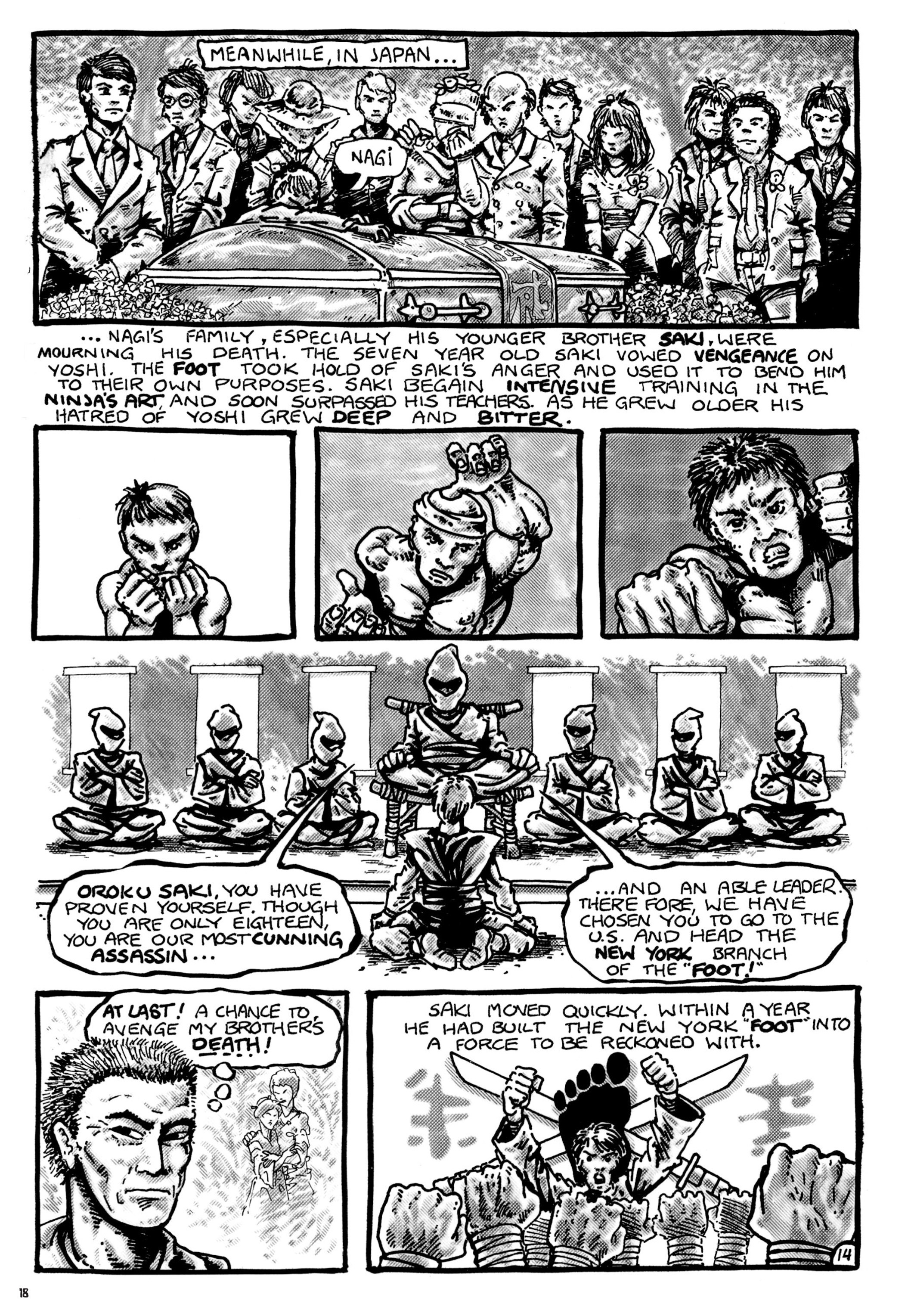 Read online Teenage Mutant Ninja Turtles: The Ultimate Collection comic -  Issue # TPB 1 (Part 1) - 18