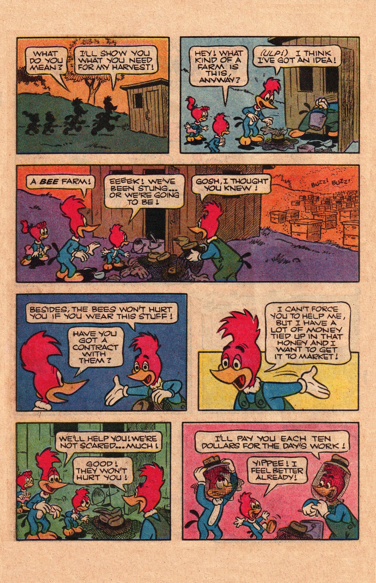 Read online Walter Lantz Woody Woodpecker (1962) comic -  Issue #199 - 26